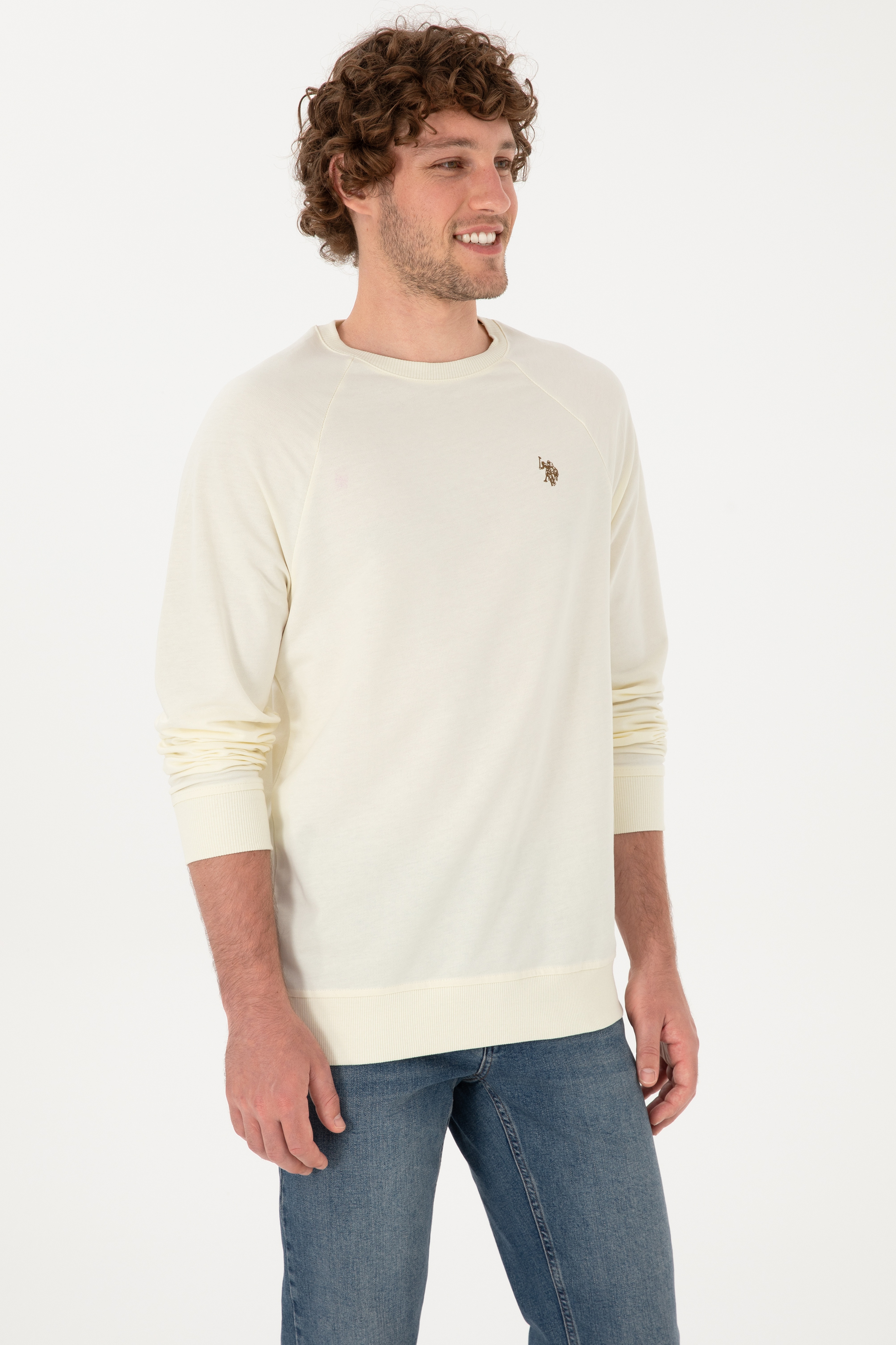 Erkek Regular Fit Bisiklet Yaka Krem İnce Basic Sweatshirt - Image 3