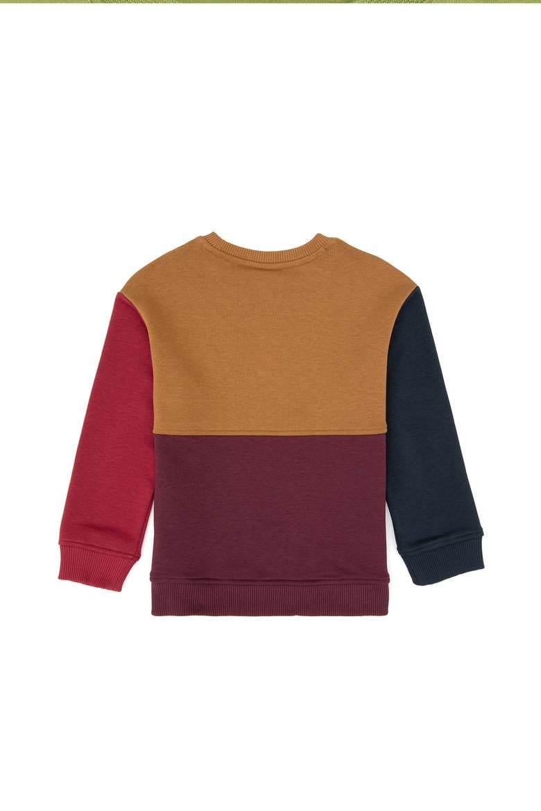 Erkek Çocuk Bordo Bisiklet Yaka Sweatshirt - 50316494016