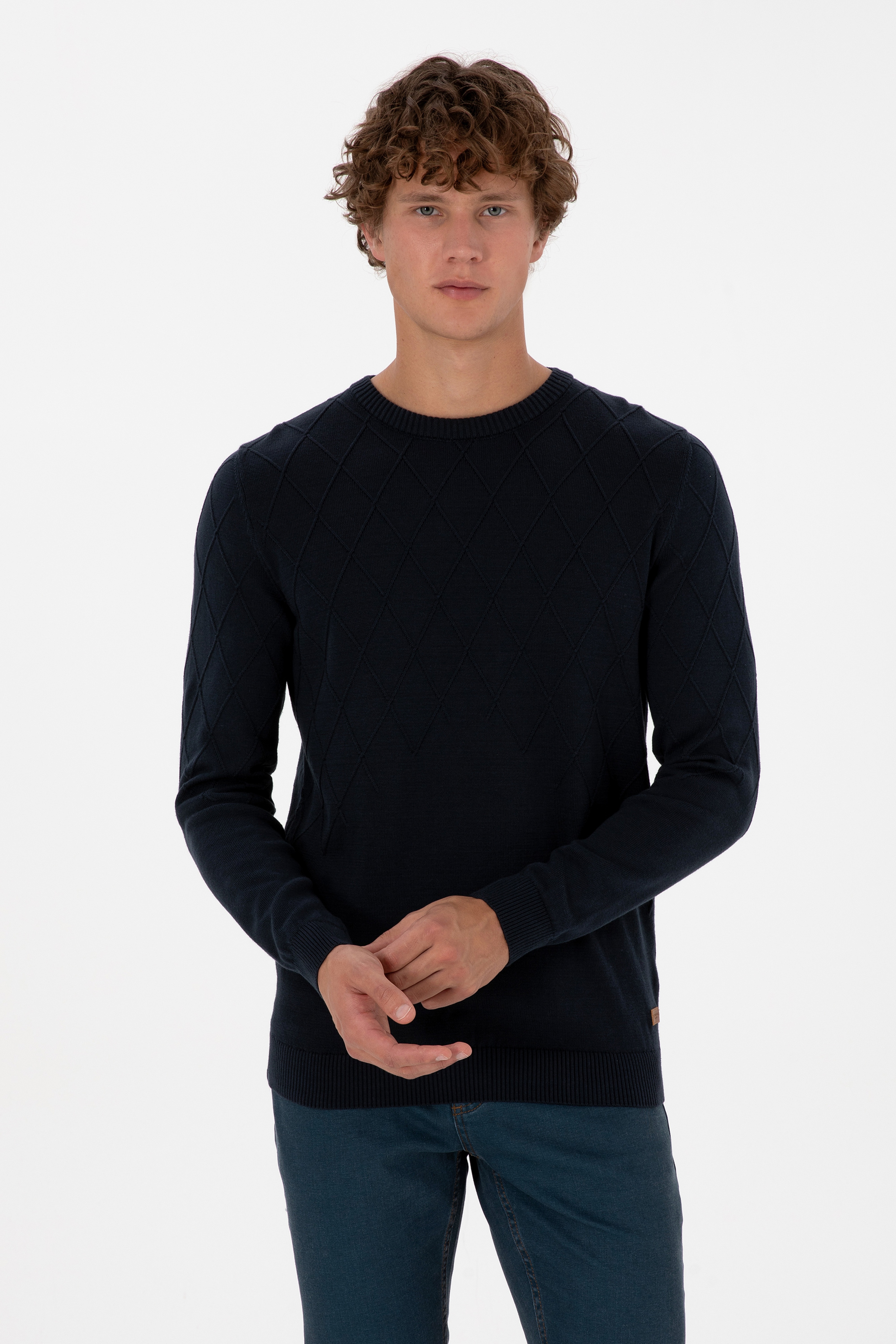 Erkek Slim Fit Bisiklet Yaka Desenli Açık Lacivert Kazak - Image 1