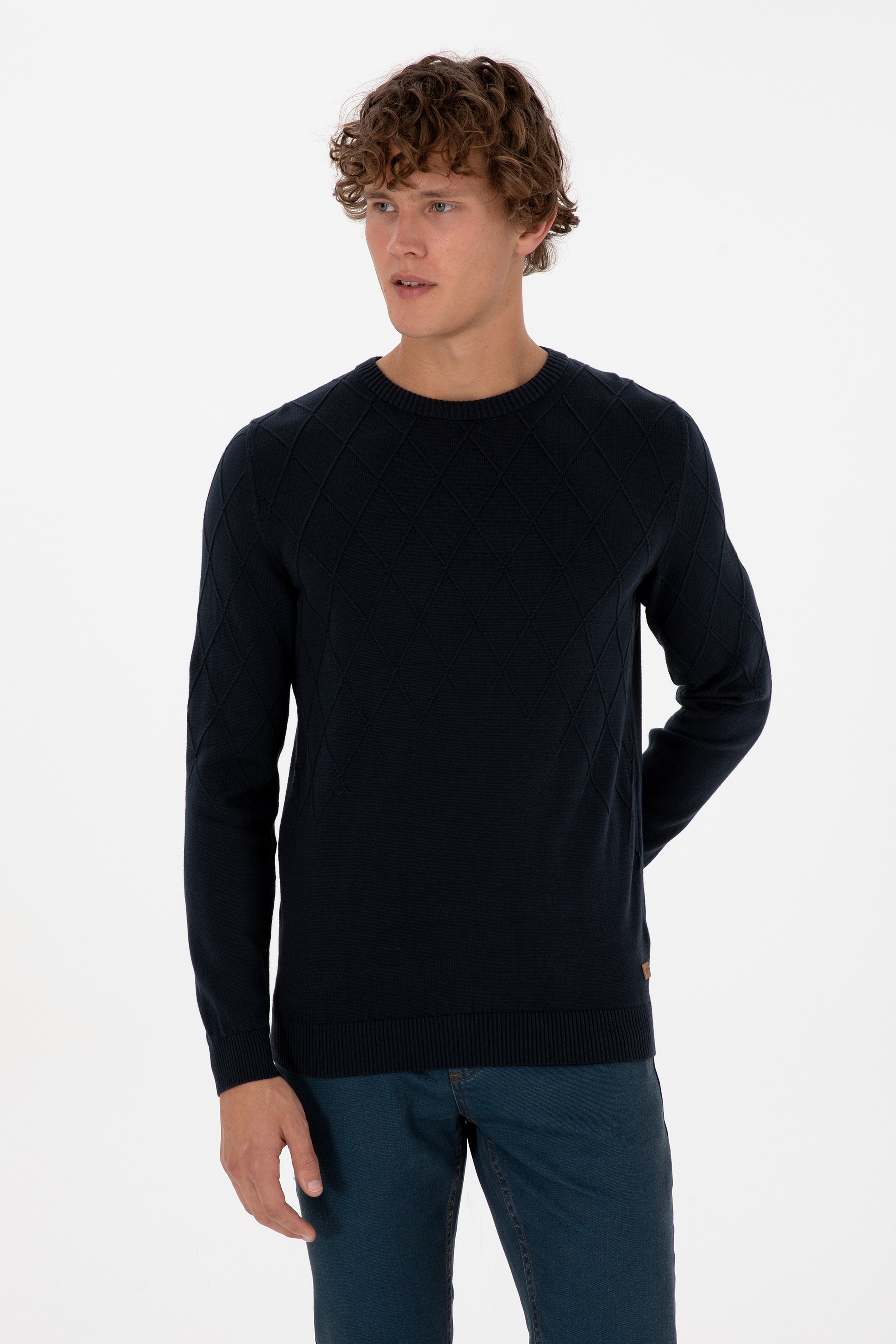 Erkek Slim Fit Bisiklet Yaka Desenli Açık Lacivert Kazak - Image 3