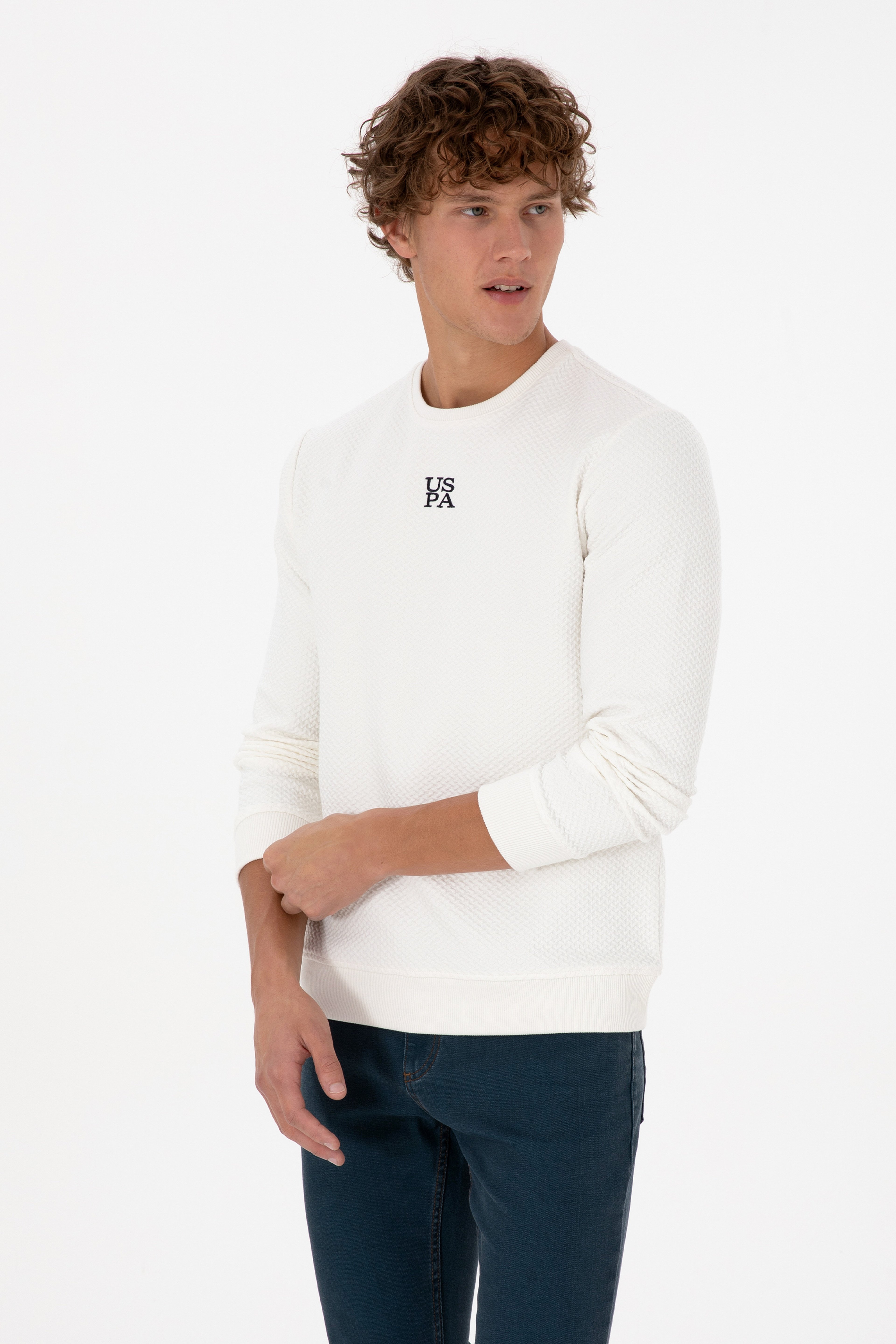 Erkek Regular Fit Bisiklet Yaka Krem Sweatshirt - Image 3