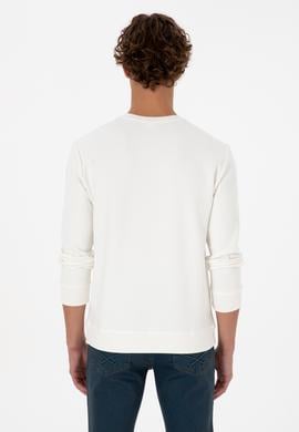 Erkek Regular Fit Bisiklet Yaka Krem Sweatshirt - 50308649026