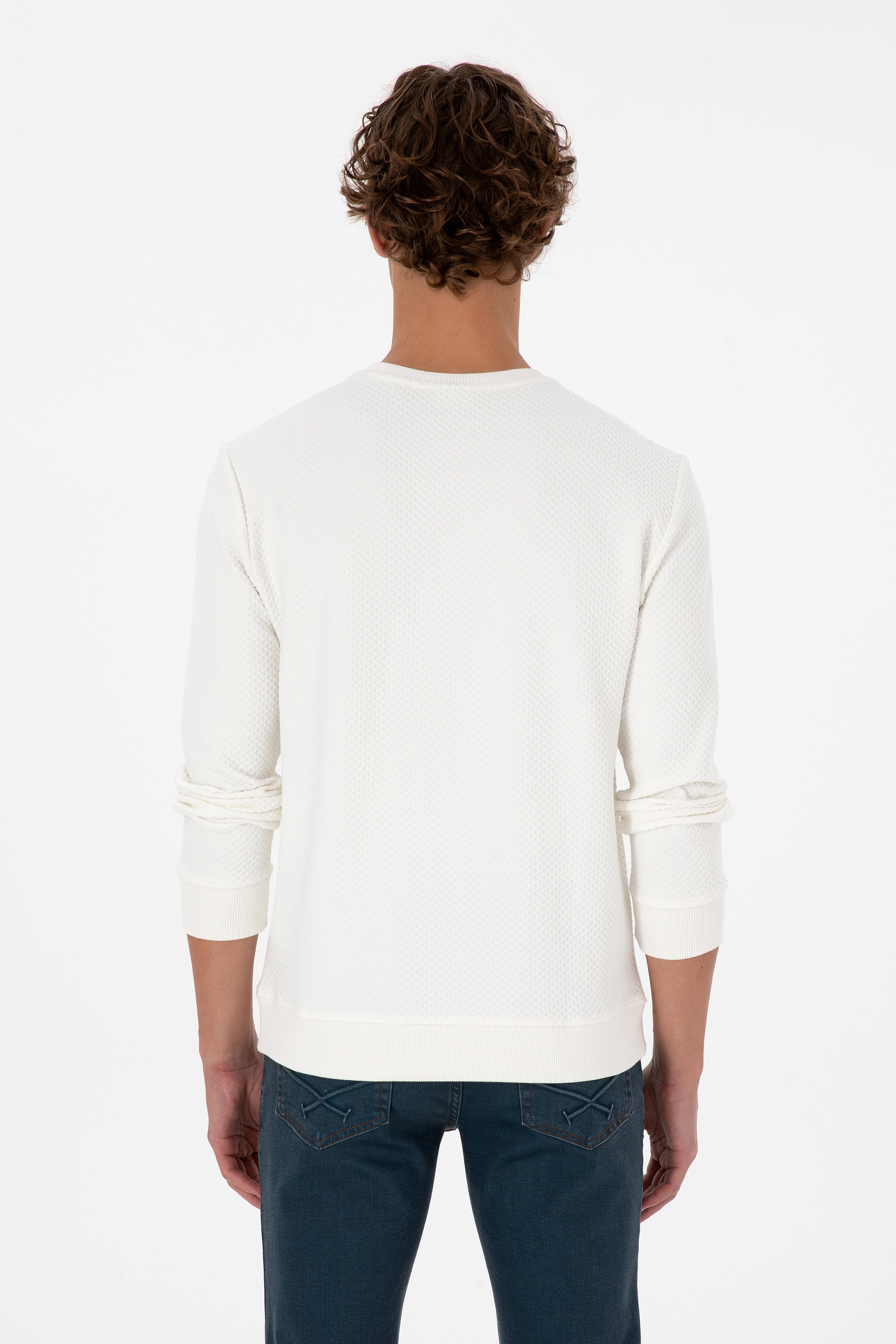 Erkek Regular Fit Bisiklet Yaka Krem Sweatshirt - Image 5