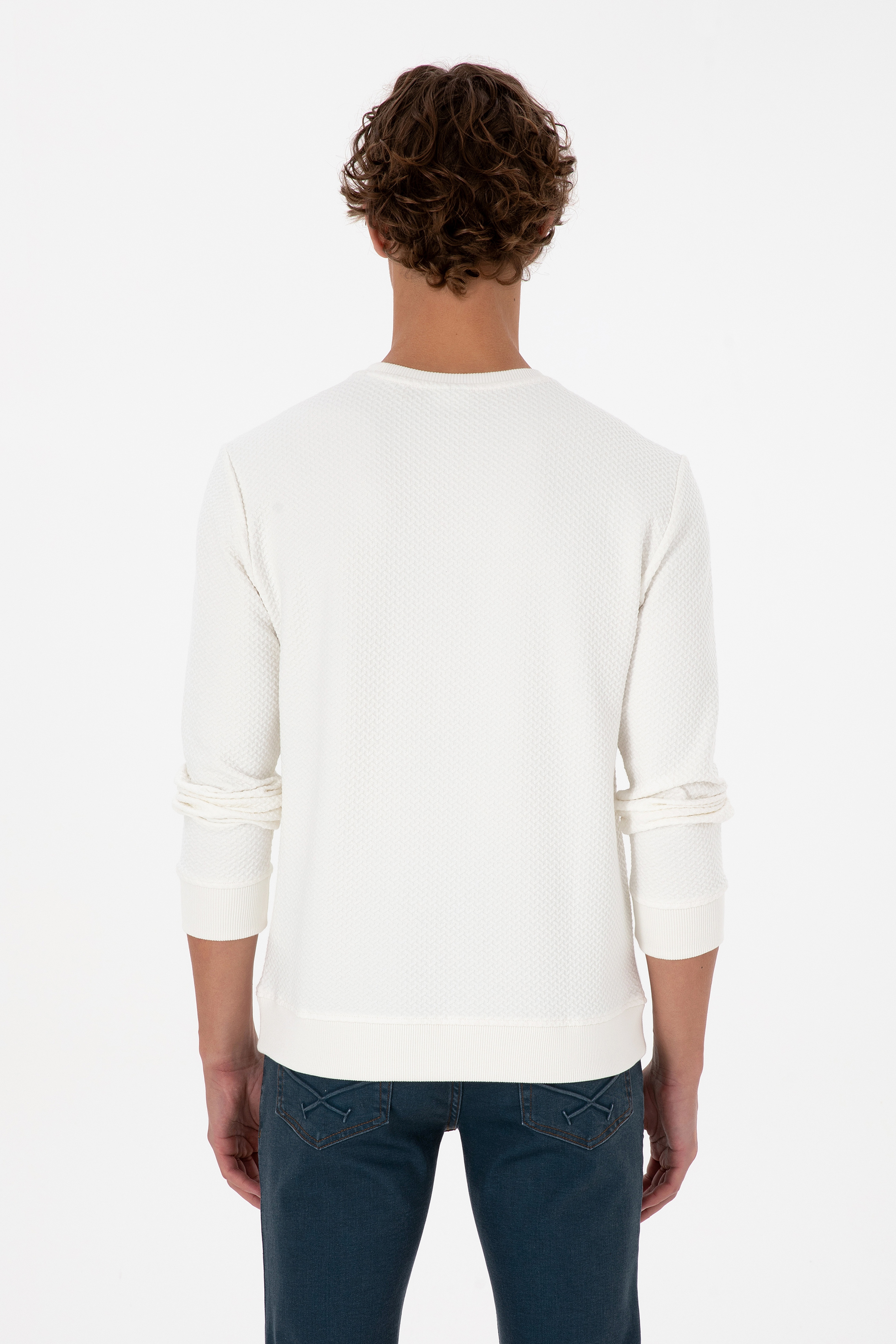 Erkek Regular Fit Bisiklet Yaka Krem Sweatshirt