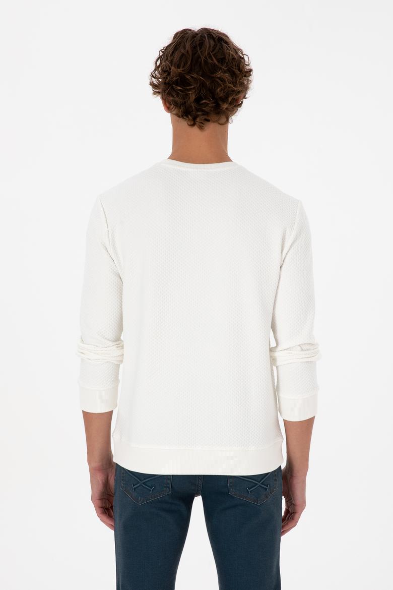 Erkek Regular Fit Bisiklet Yaka Krem Sweatshirt - 50308649026