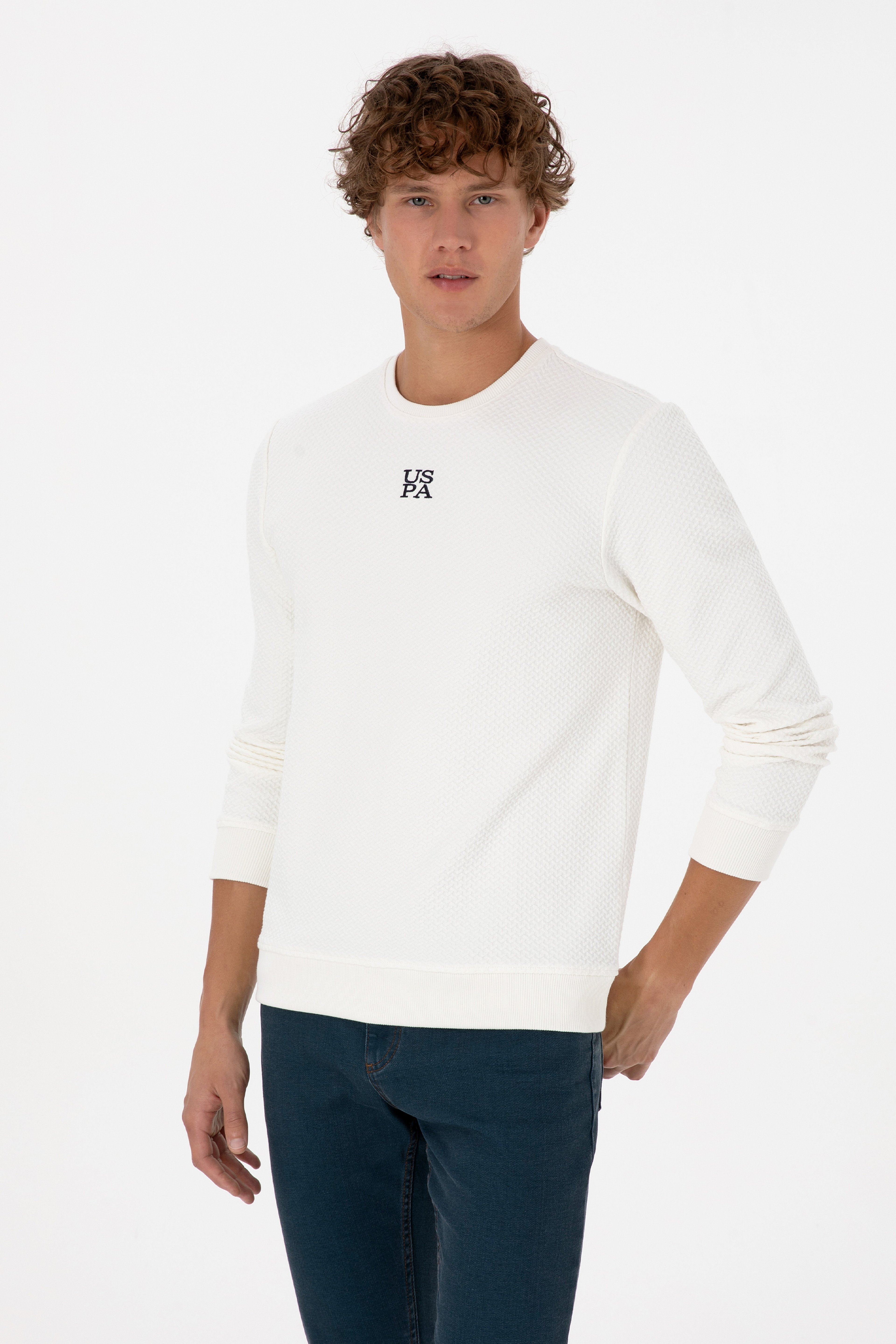 Erkek Regular Fit Bisiklet Yaka Krem Sweatshirt - Image 1