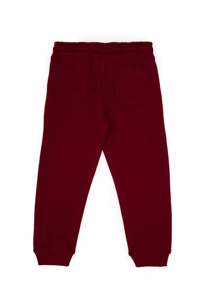 Erkek Çocuk Bordo Eşofman Altı - 50314026147