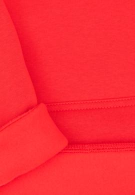 Erkek Çocuk Kırmızı Basic Kapüşonlu Şardonlu Sweatshirt - 50313808178