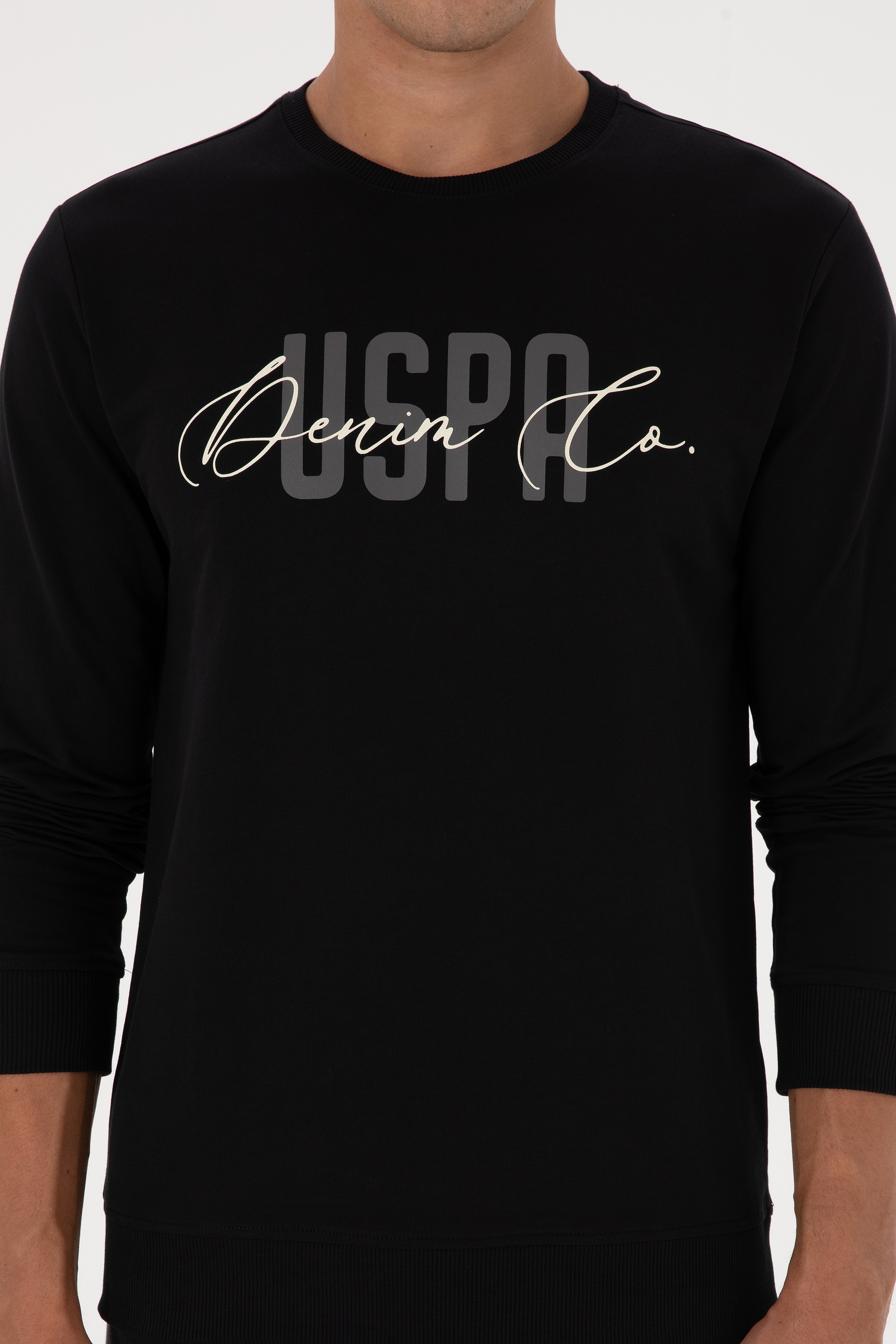 Erkek Regular Fit Bisiklet Yaka Siyah İnce Sweatshirt