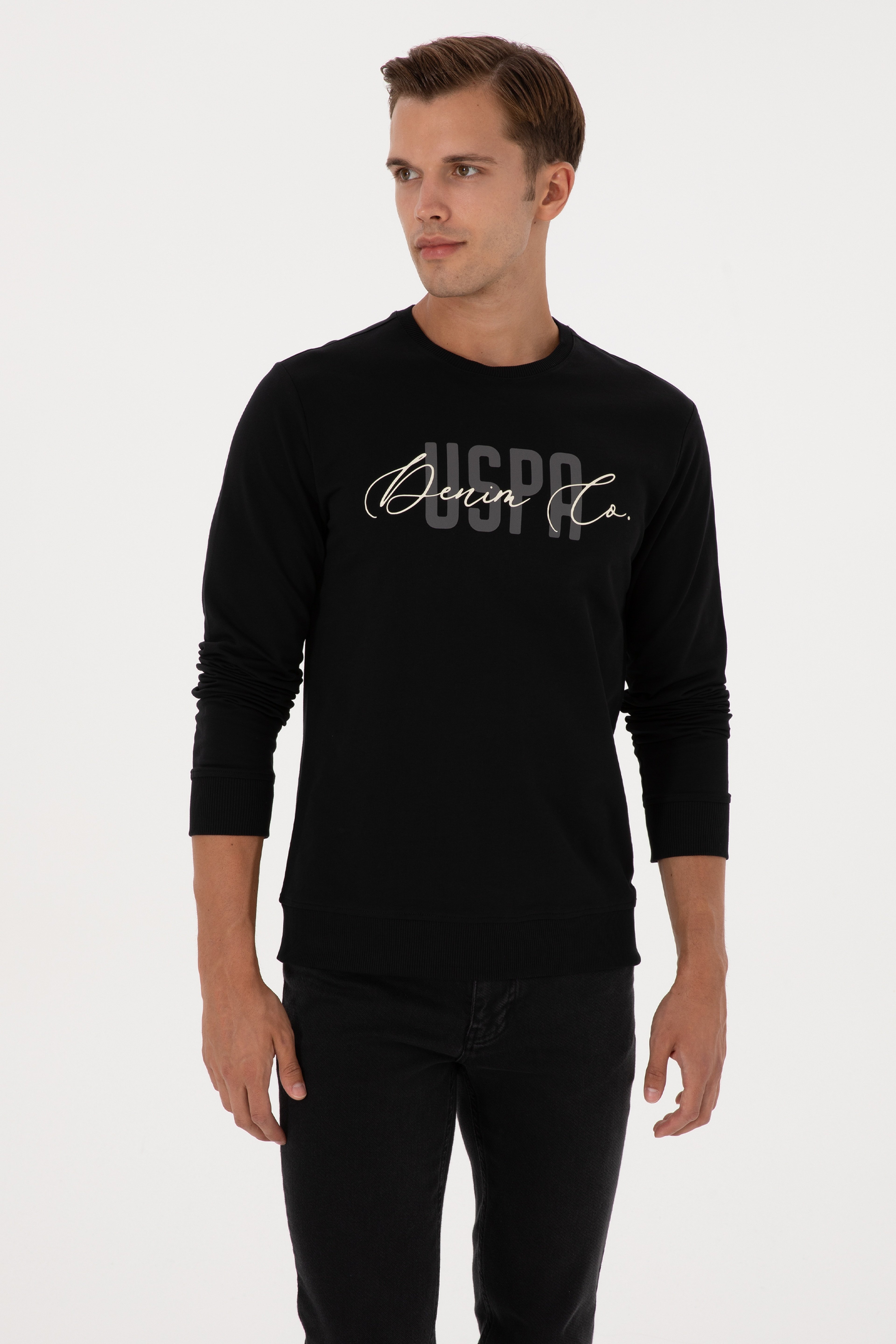 Erkek Regular Fit Bisiklet Yaka Siyah İnce Sweatshirt - Image 3