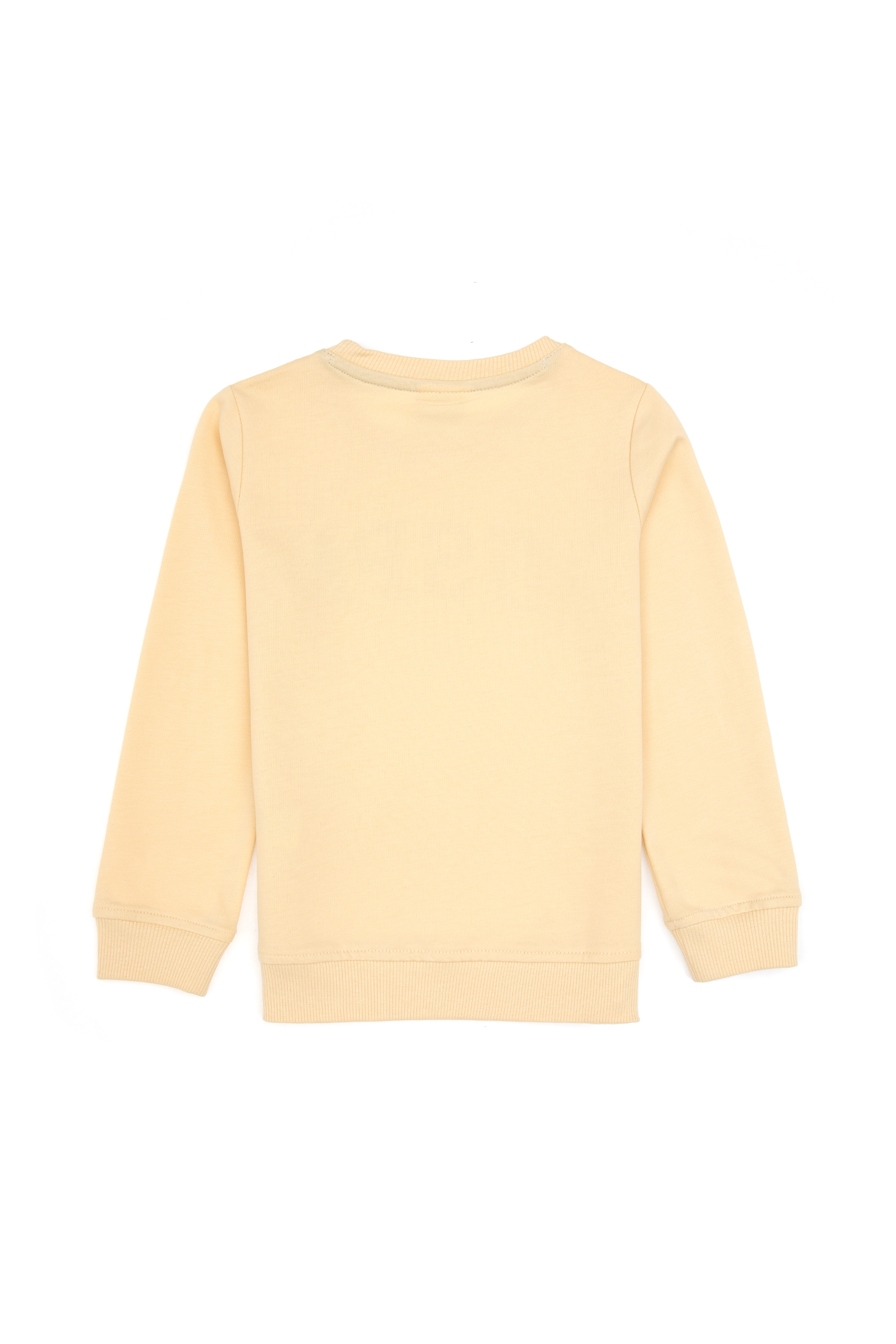 Erkek Çocuk Beyaz Basic Bisiklet Yaka Sweatshirt - Image 3