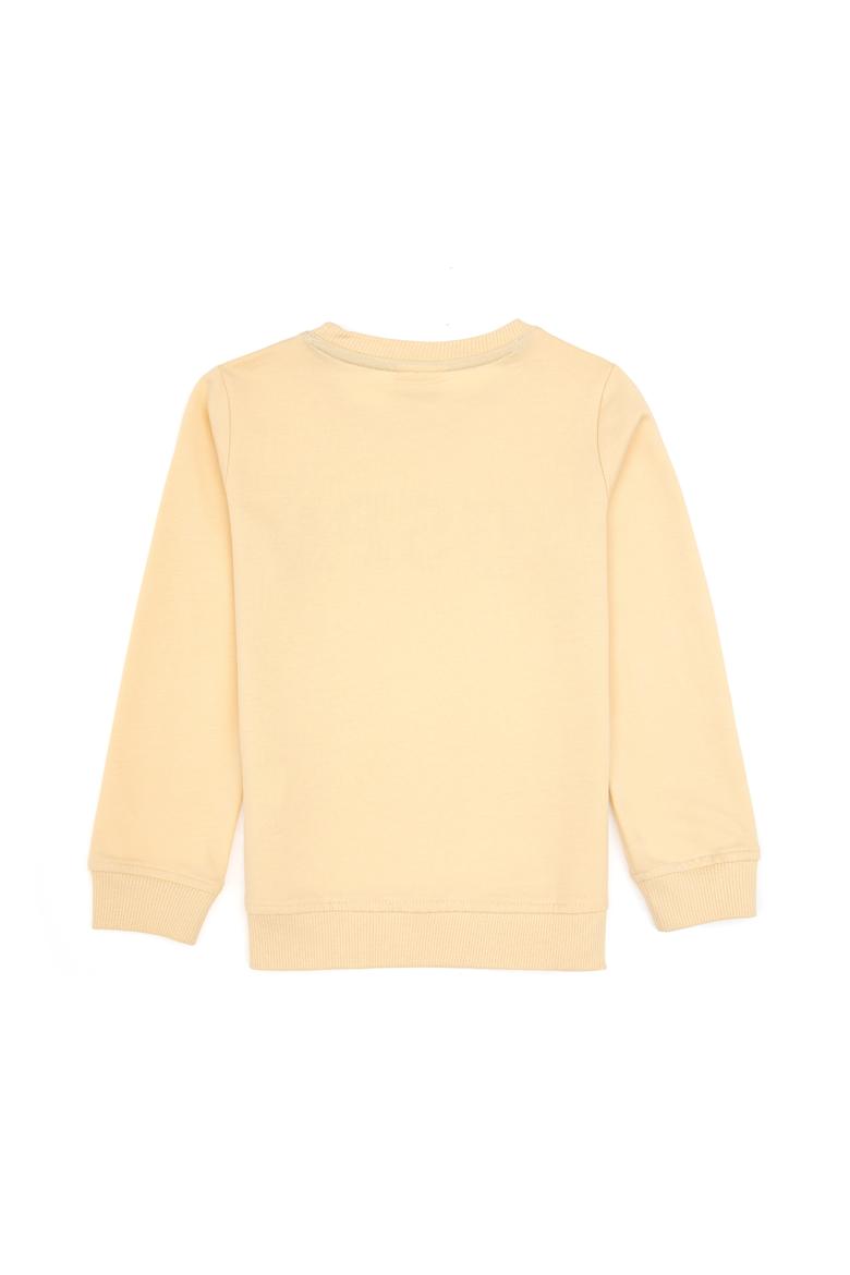 Erkek Çocuk Beyaz Basic Bisiklet Yaka Sweatshirt - 50313830185