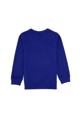 Erkek Çocuk Mor Basic Bisiklet Yaka Sweatshirt - 50313830174