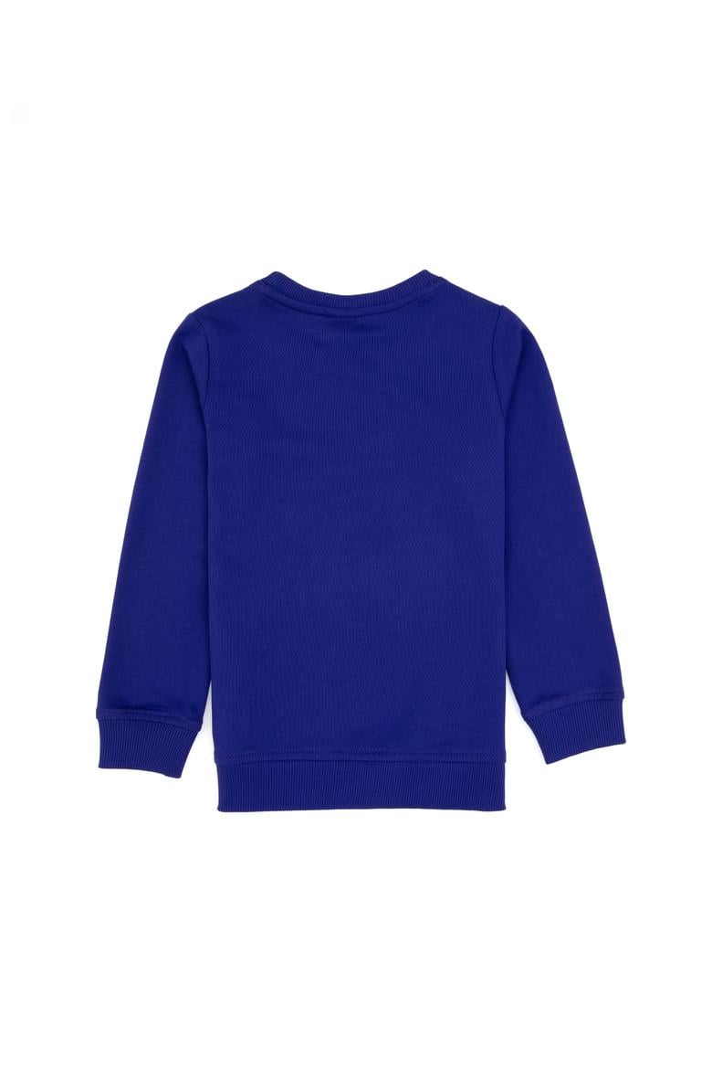 Erkek Çocuk Mor Basic Bisiklet Yaka Sweatshirt - 50313830174