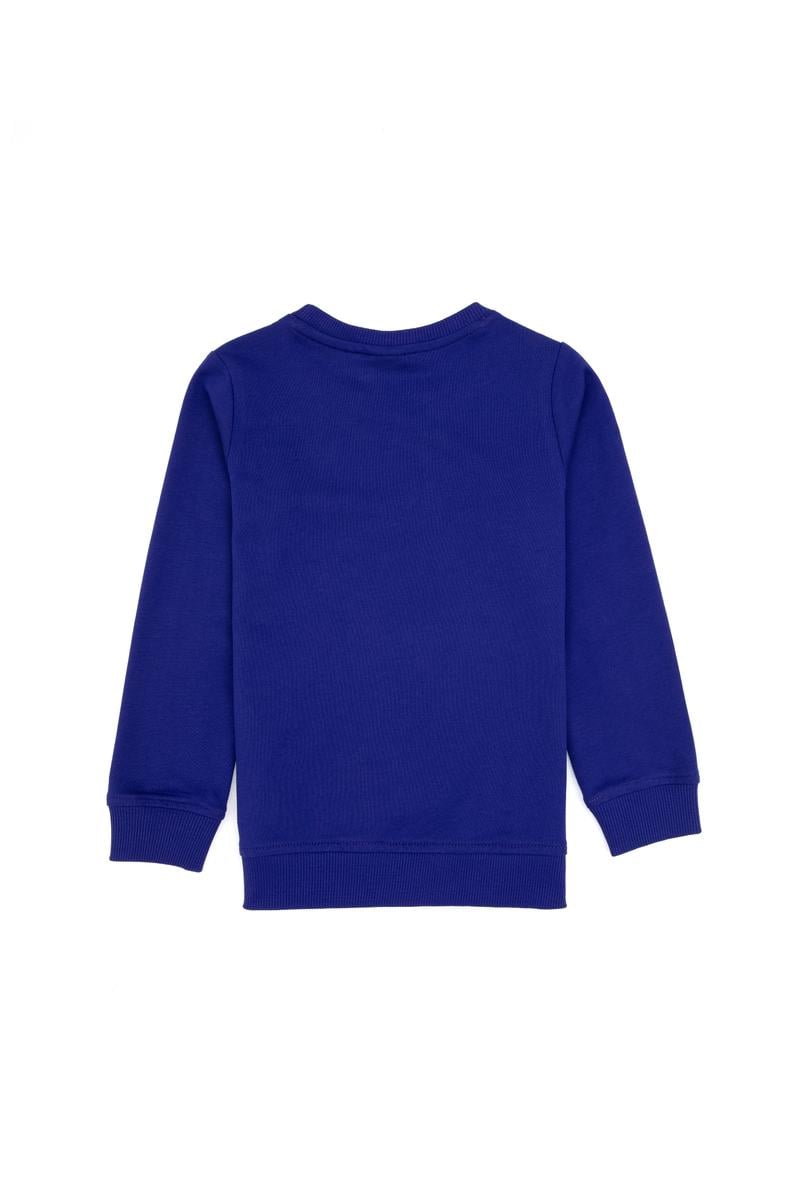 Erkek Çocuk Mor Basic Bisiklet Yaka Sweatshirt