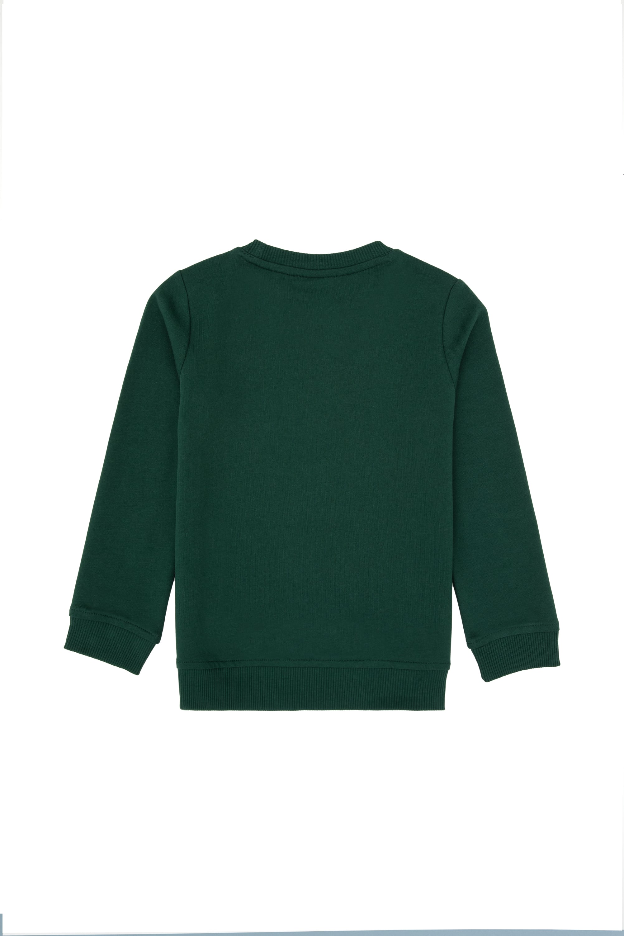 Erkek Çocuk Koyu Yeşil Basic Bisiklet Yaka Sweatshirt - Image 2