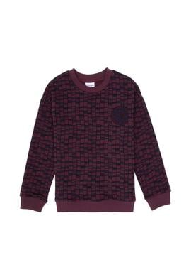 Erkek Çocuk Bordo Bisiklet Yaka Sweatshirt - 50308599034