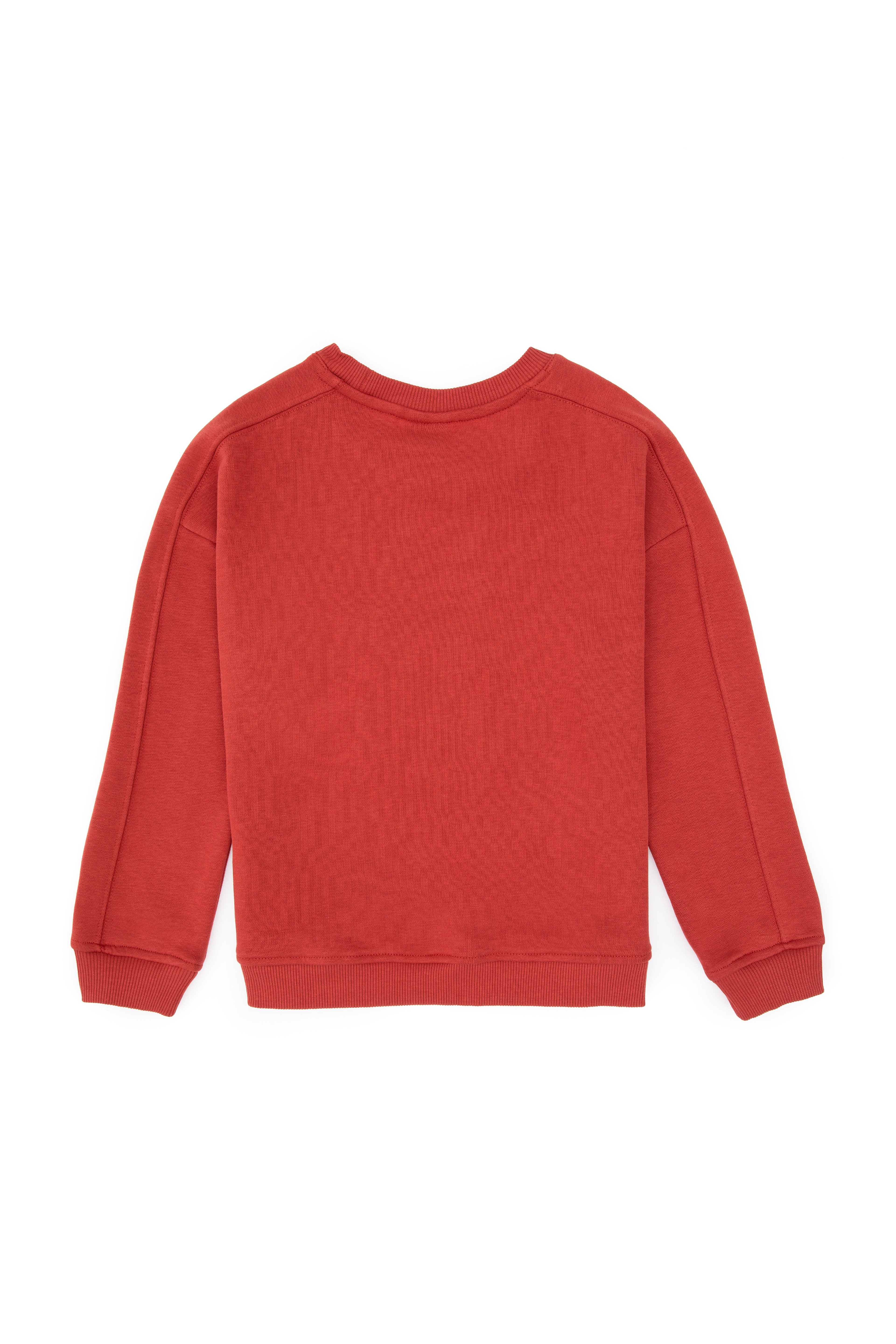 Erkek Çocuk Gül Kurusu Bisiklet Yaka Sweatshirt