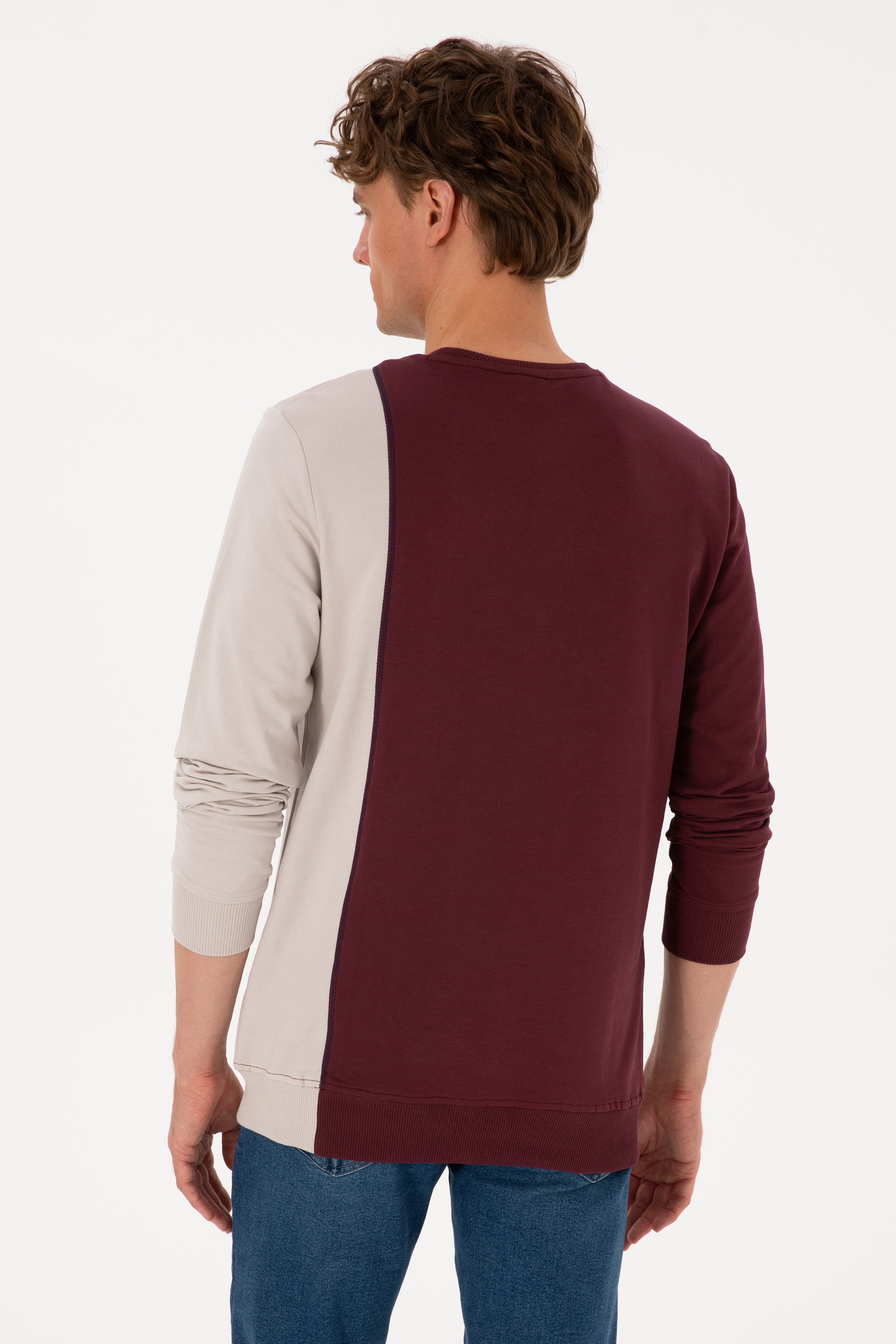 Erkek Regular Fit Bisiklet Yaka Bordo İnce Sweatshirt - Image 5