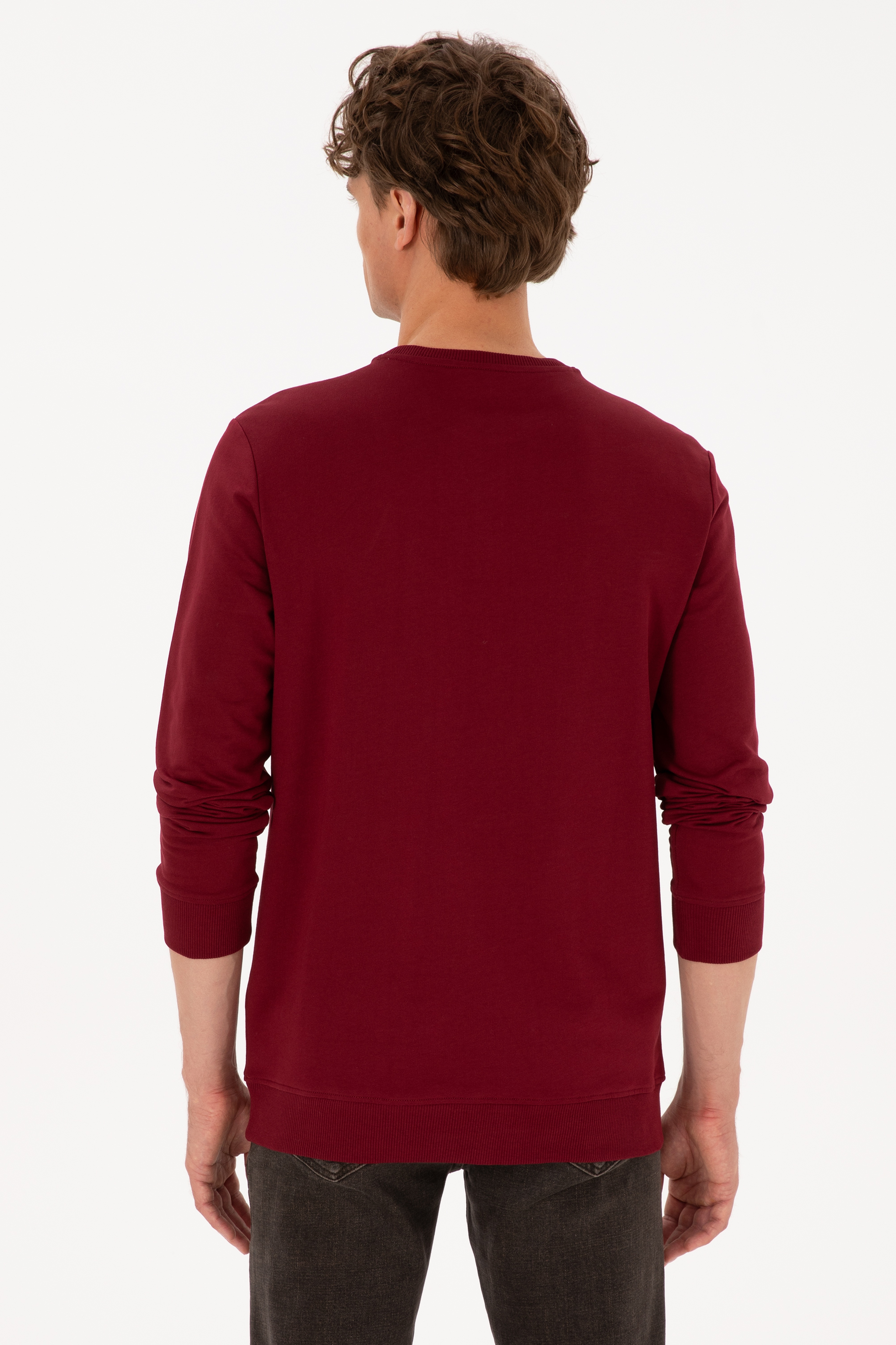 Erkek Bisiklet Yaka Regular Fit Bordo İnce Sweatshirt