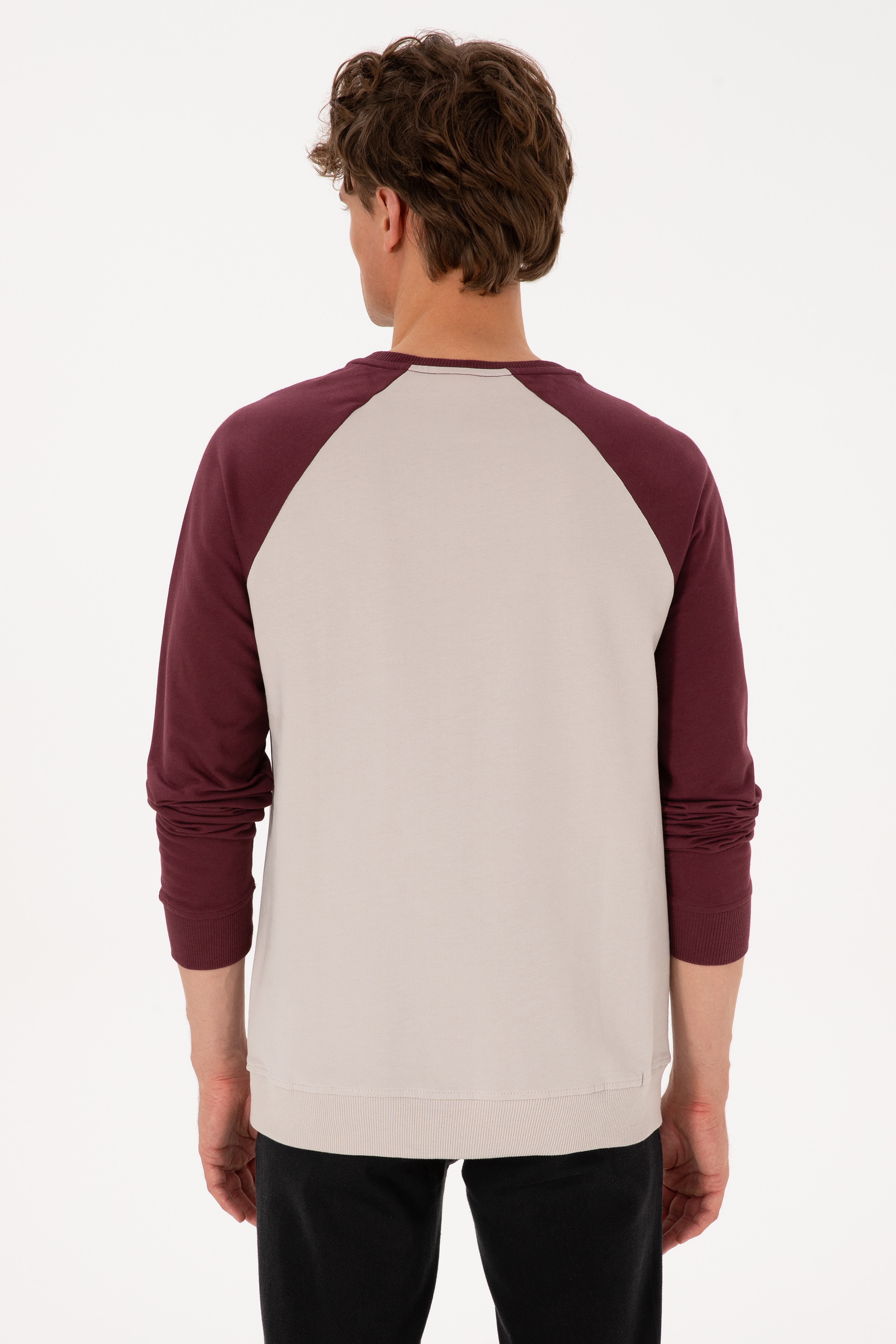Erkek Bisiklet Yaka Regular Fit Bordo İnce Sweatshirt - Image 5