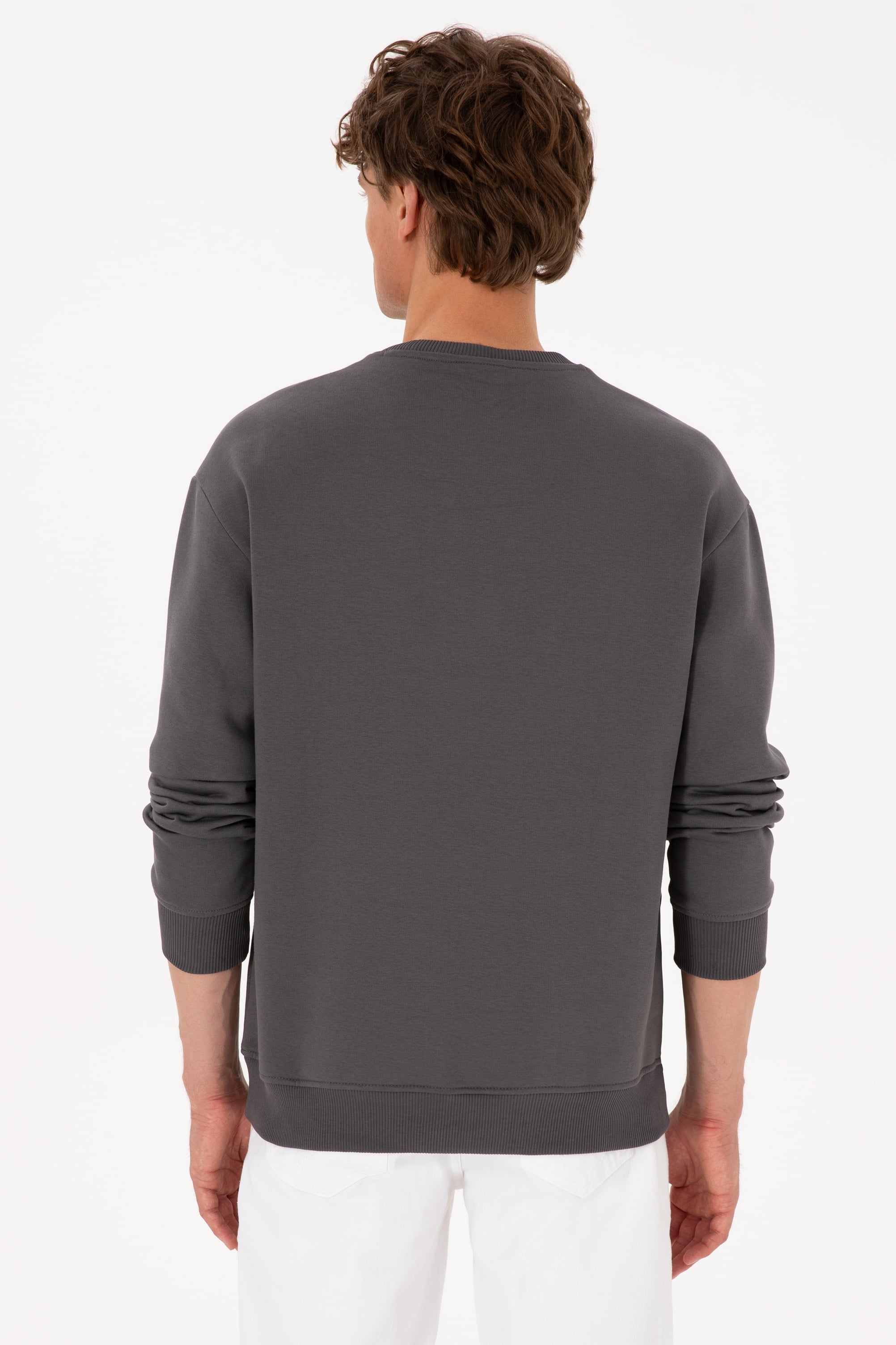 Erkek Comfort Fit Bisiklet Yaka Şardonlu Gri Basic Sweatshirt - Image 5