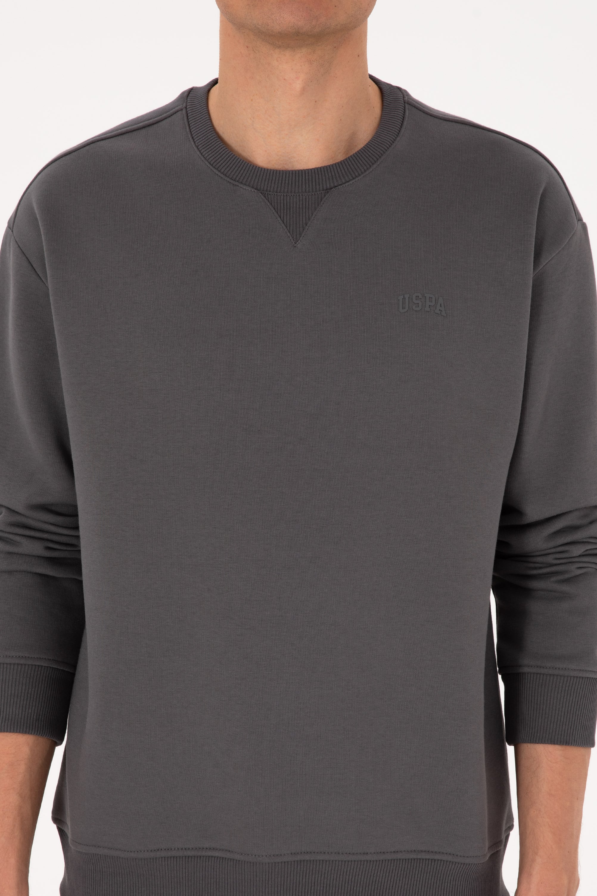 Erkek Comfort Fit Bisiklet Yaka Şardonlu Gri Basic Sweatshirt