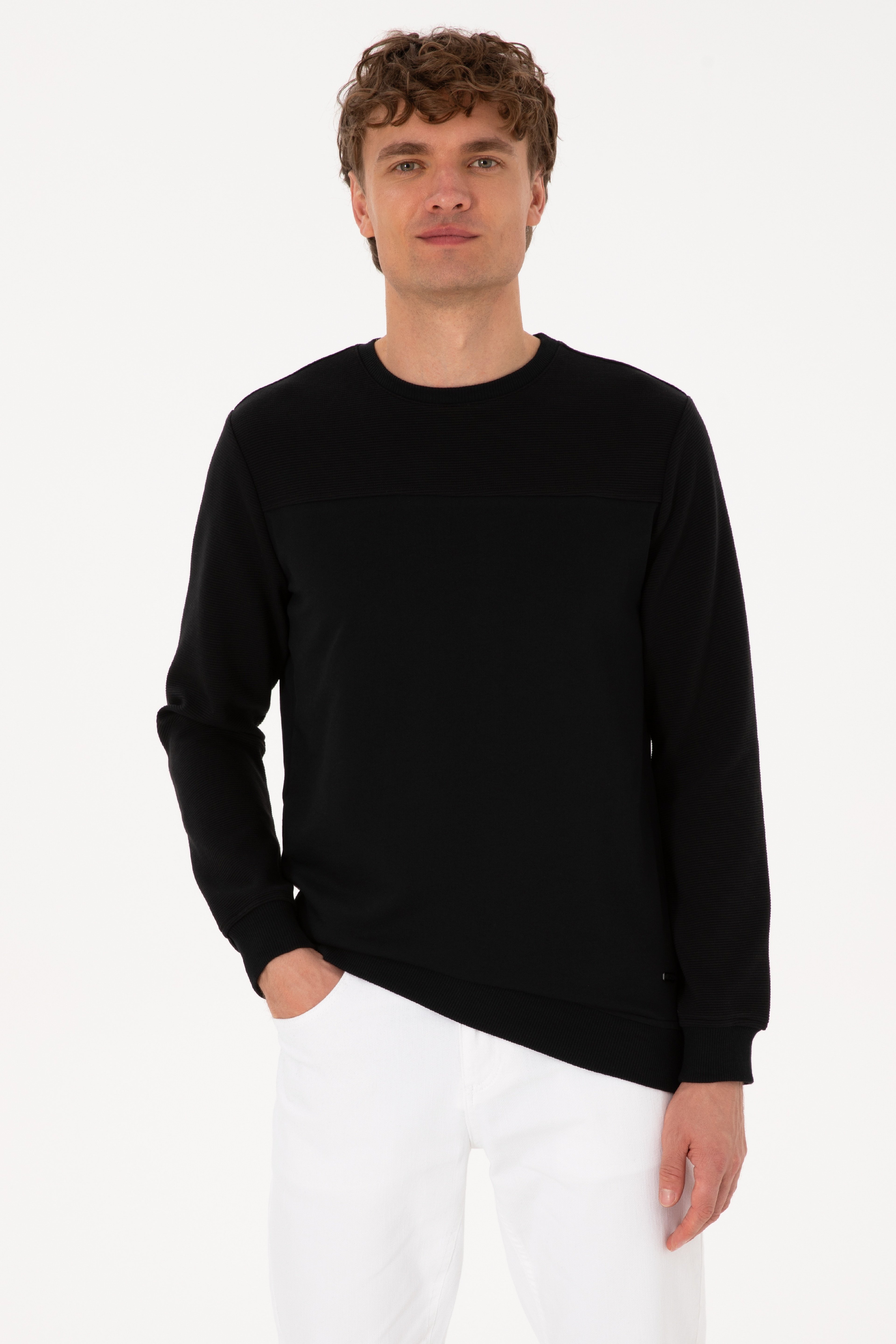 Erkek Bisiklet Yaka Regular Fit Siyah İnce Sweatshirt - Image 1