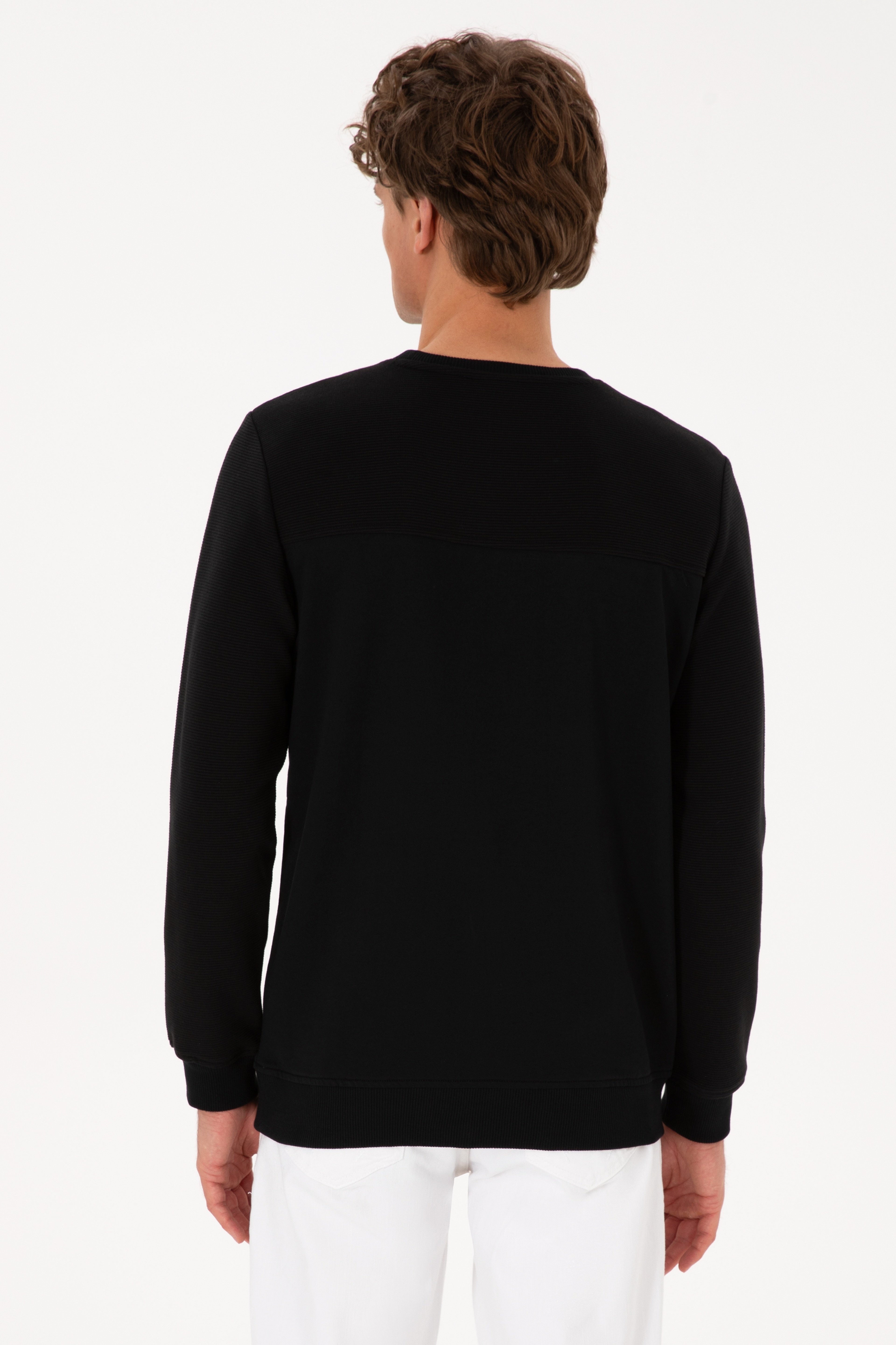 Erkek Bisiklet Yaka Regular Fit Siyah İnce Sweatshirt - Image 5