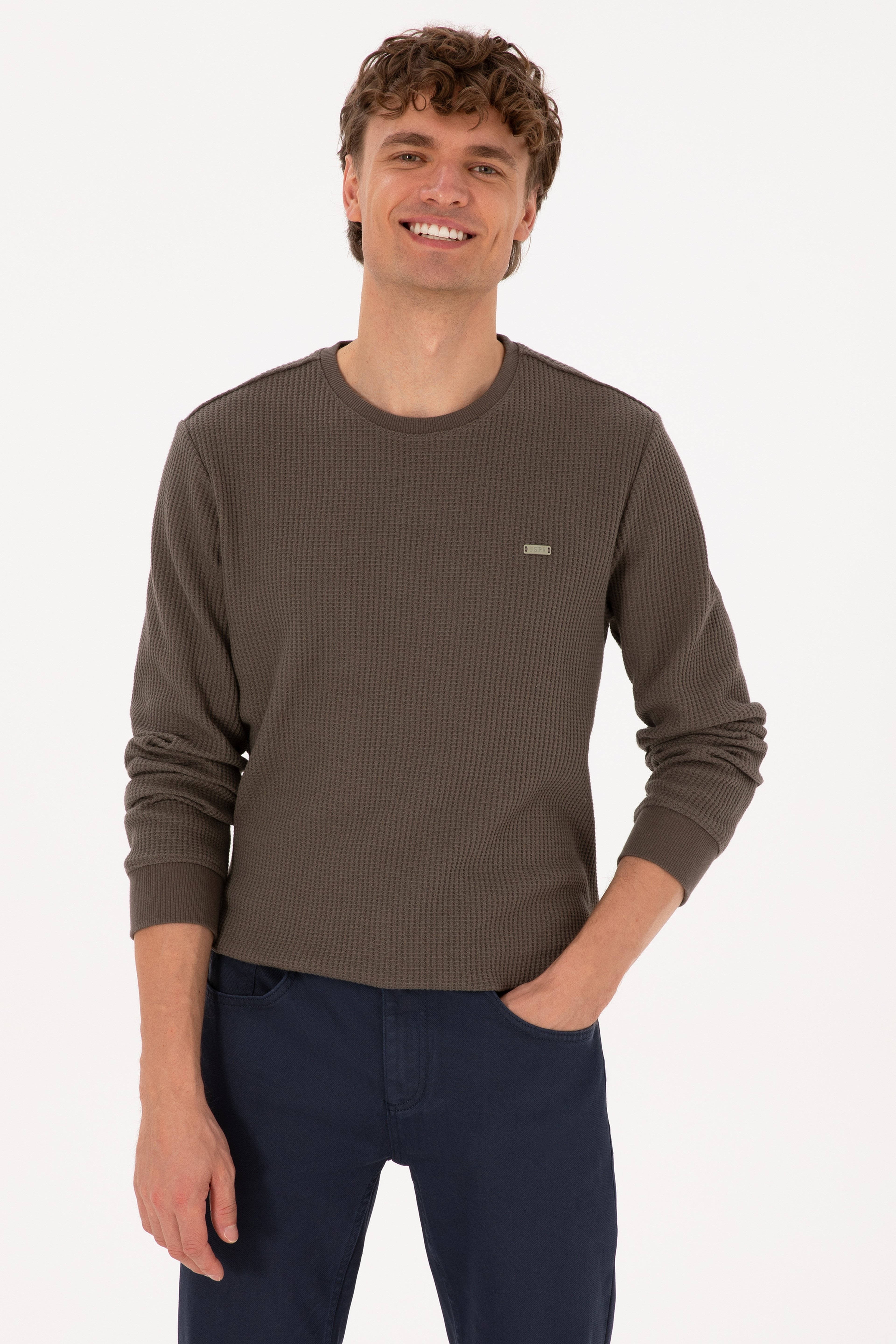 Erkek Bisiklet Yaka Regular Fit Petek Dokulu Vizon Sweatshirt - Image 1