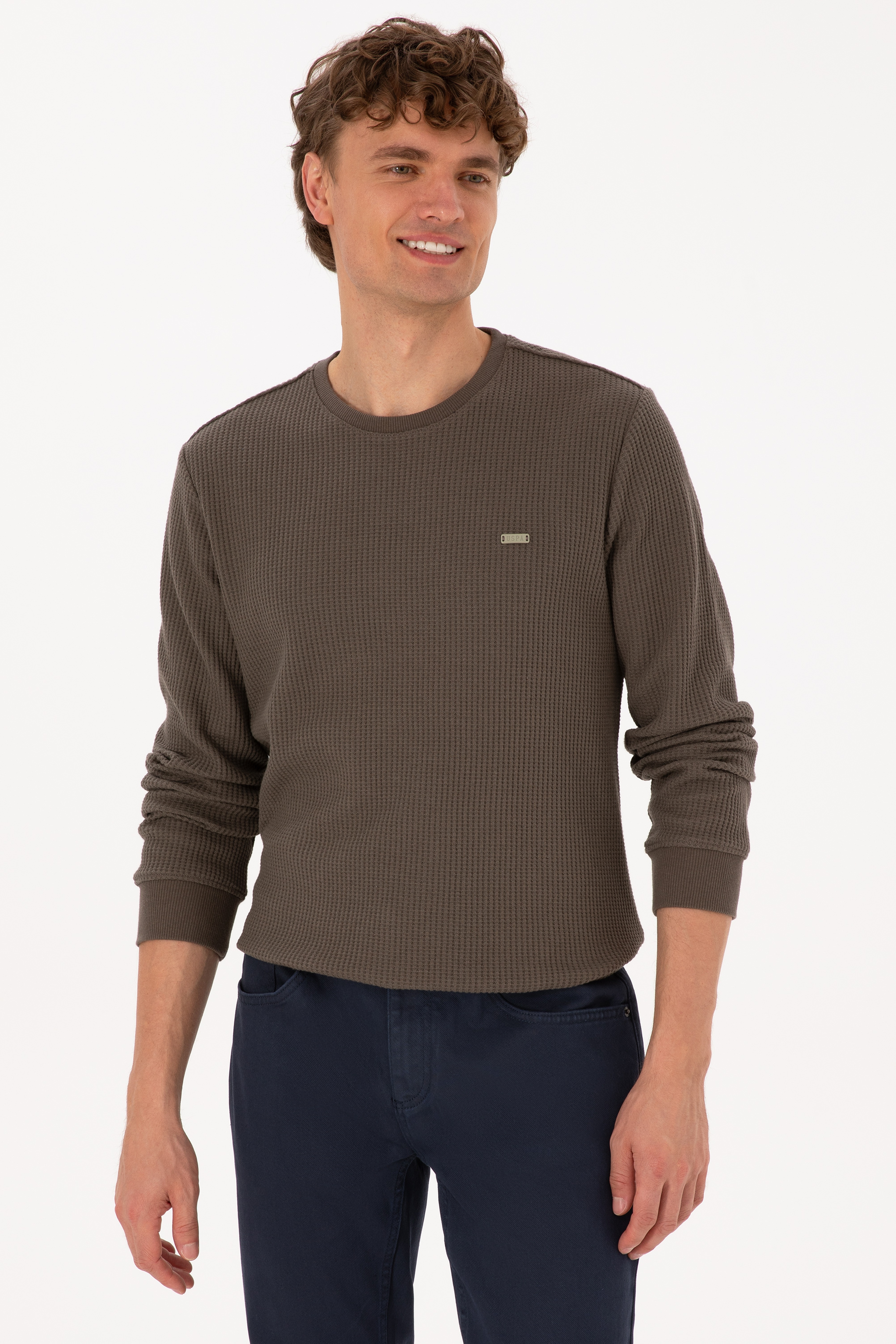 Erkek Bisiklet Yaka Regular Fit Petek Dokulu Vizon Sweatshirt - Image 3