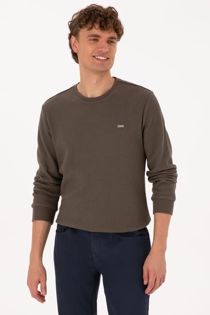Erkek Bisiklet Yaka Regular Fit Petek Dokulu Vizon Sweatshirt