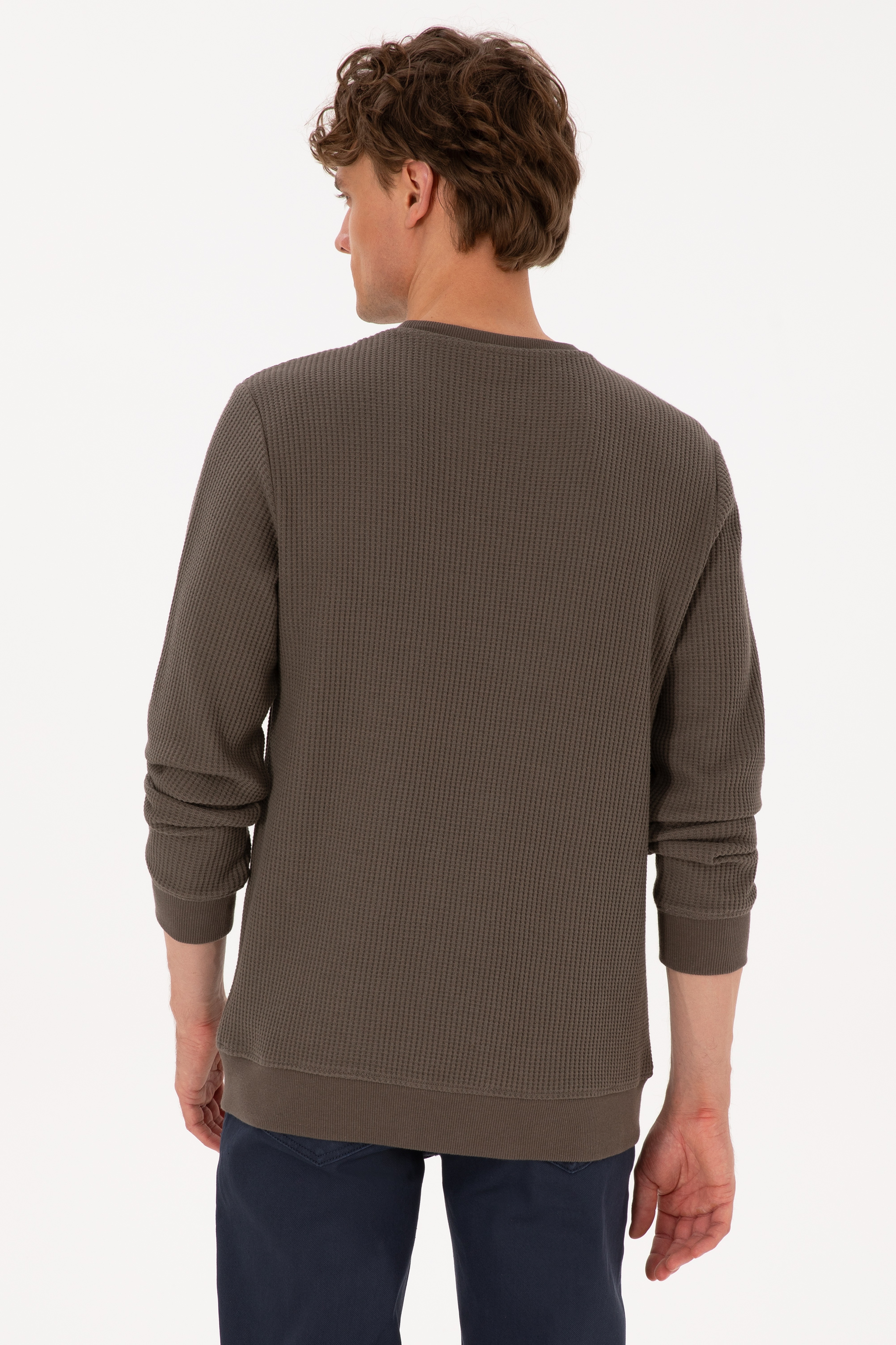 Erkek Bisiklet Yaka Regular Fit Petek Dokulu Vizon Sweatshirt - Image 5