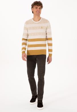 Erkek Regular Fit Bisiklet Yaka Hardal Kazak - 50307872008