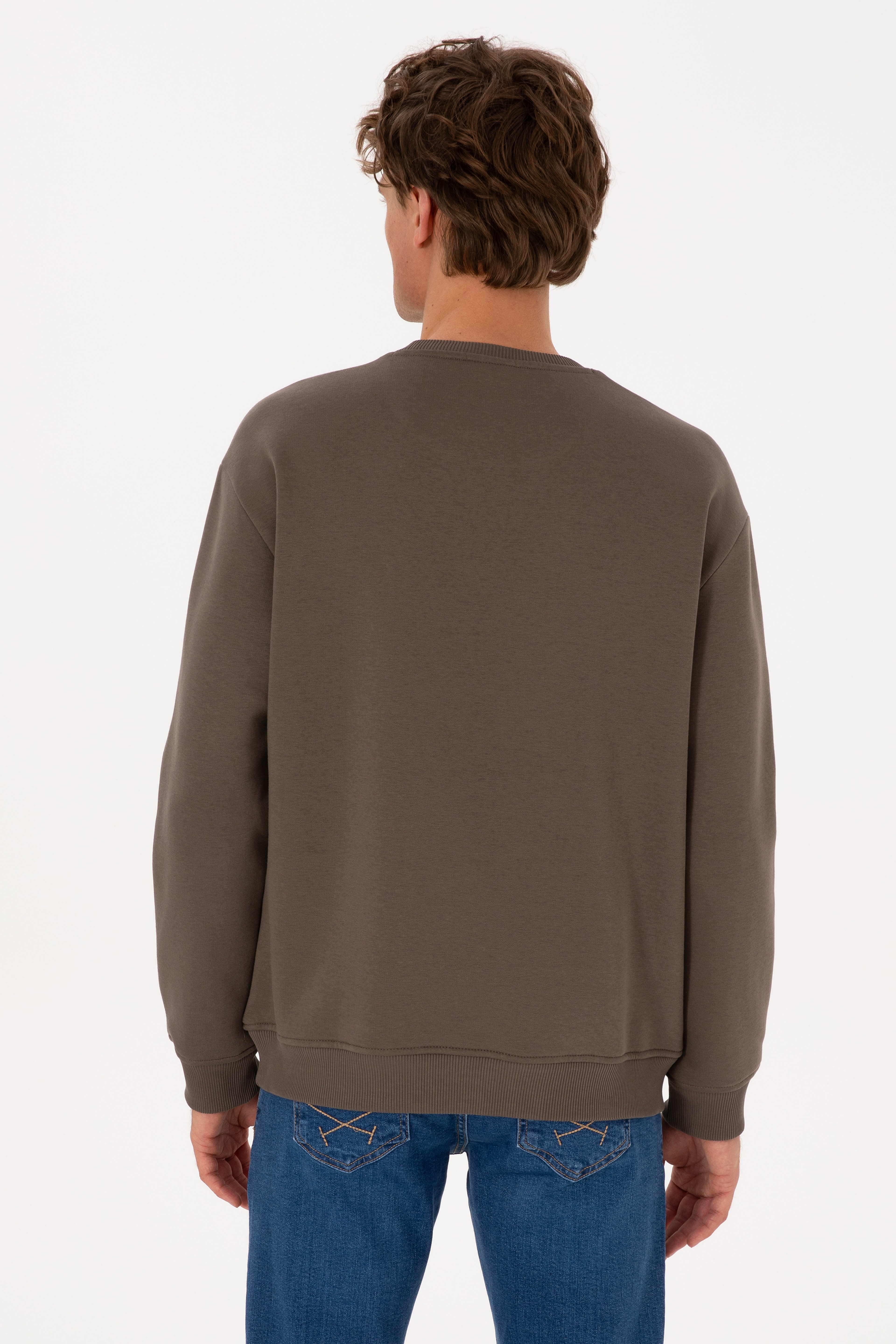 Erkek Comfort Fit Bisiklet Yaka Şardonlu Vizon Basic Sweatshirt