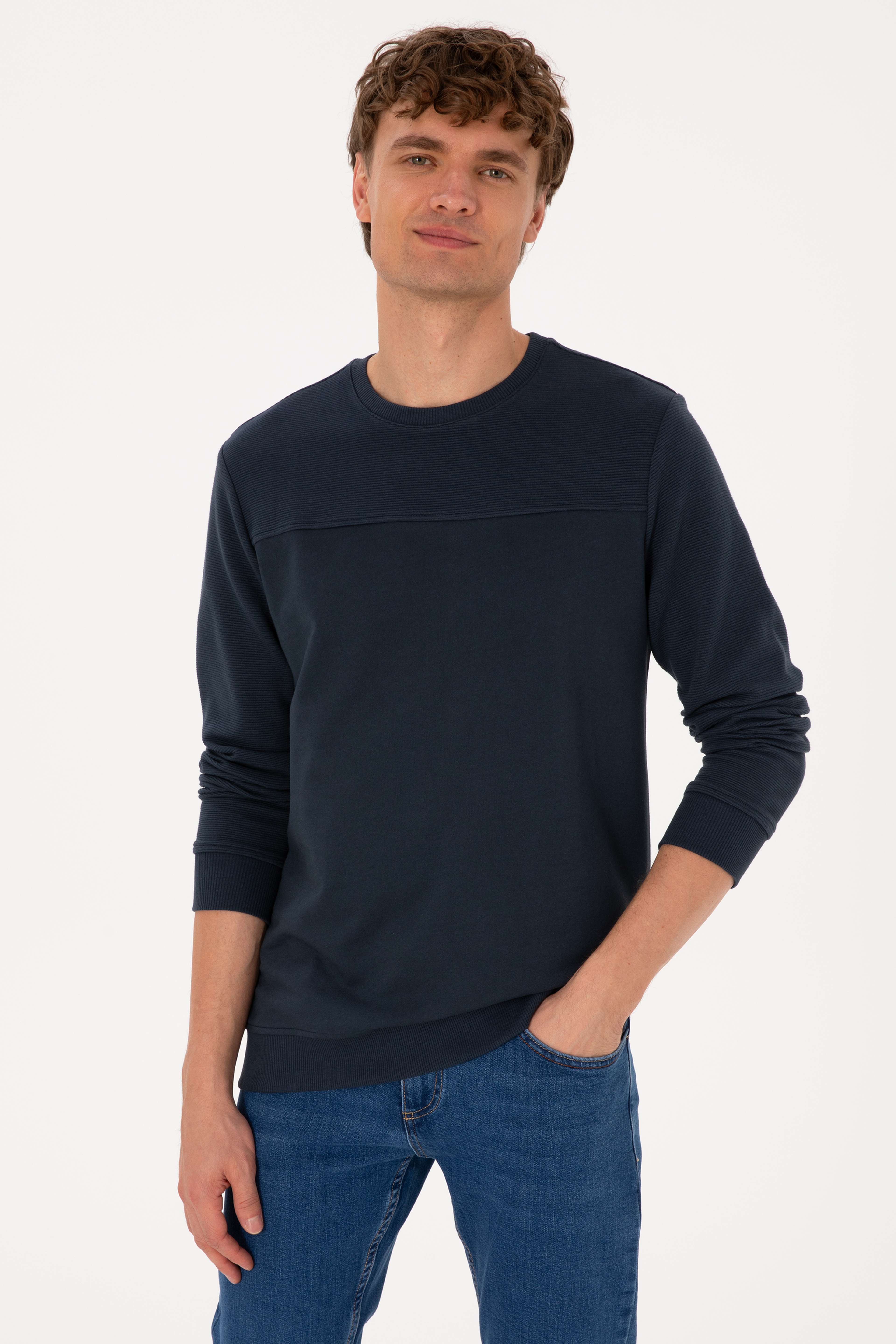 Erkek Bisiklet Yaka Regular Fit Açık Lacivert İnce Sweatshirt - Image 3