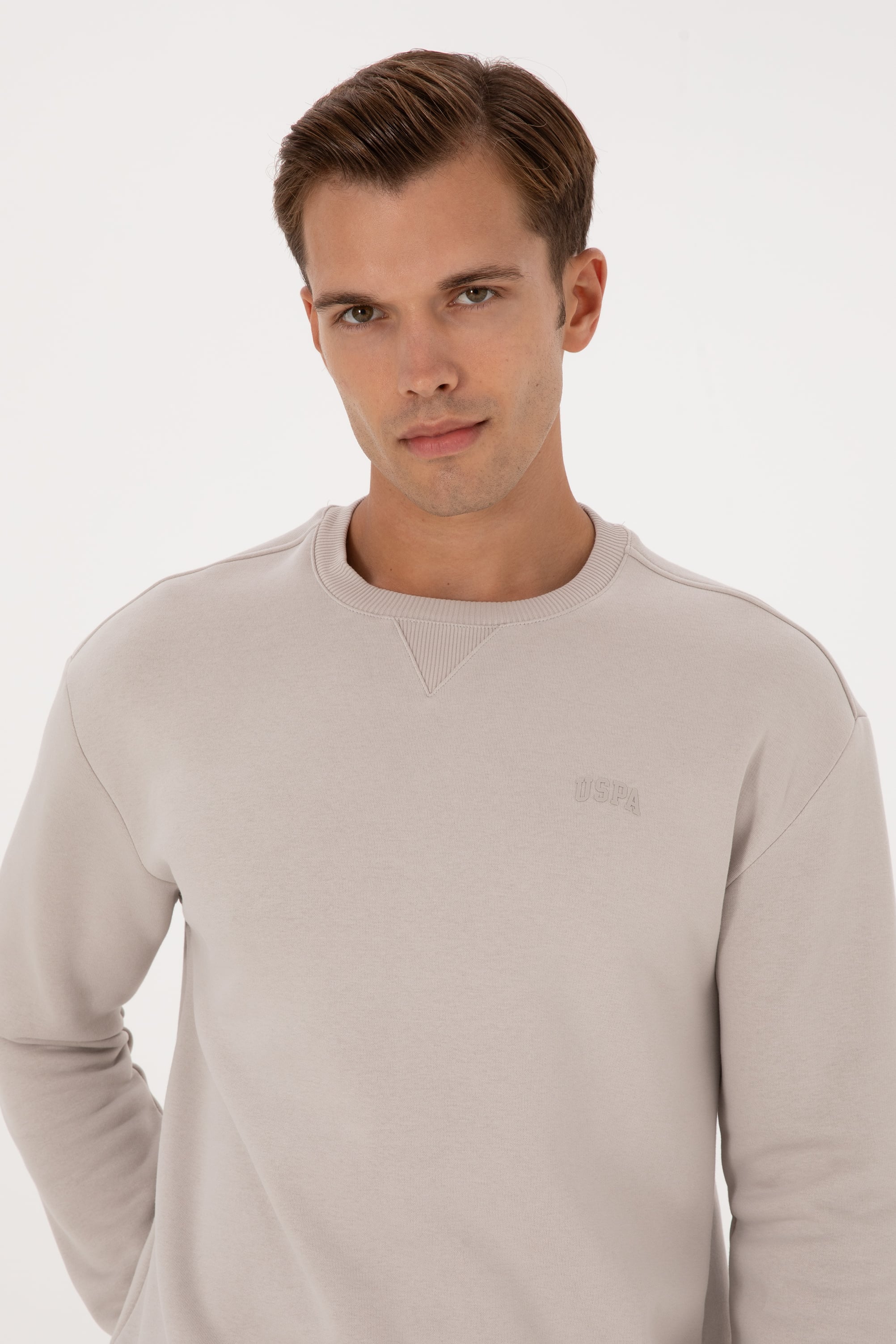 Erkek Comfort Fit Bisiklet Yaka Şardonlu Taş Basic Sweatshirt