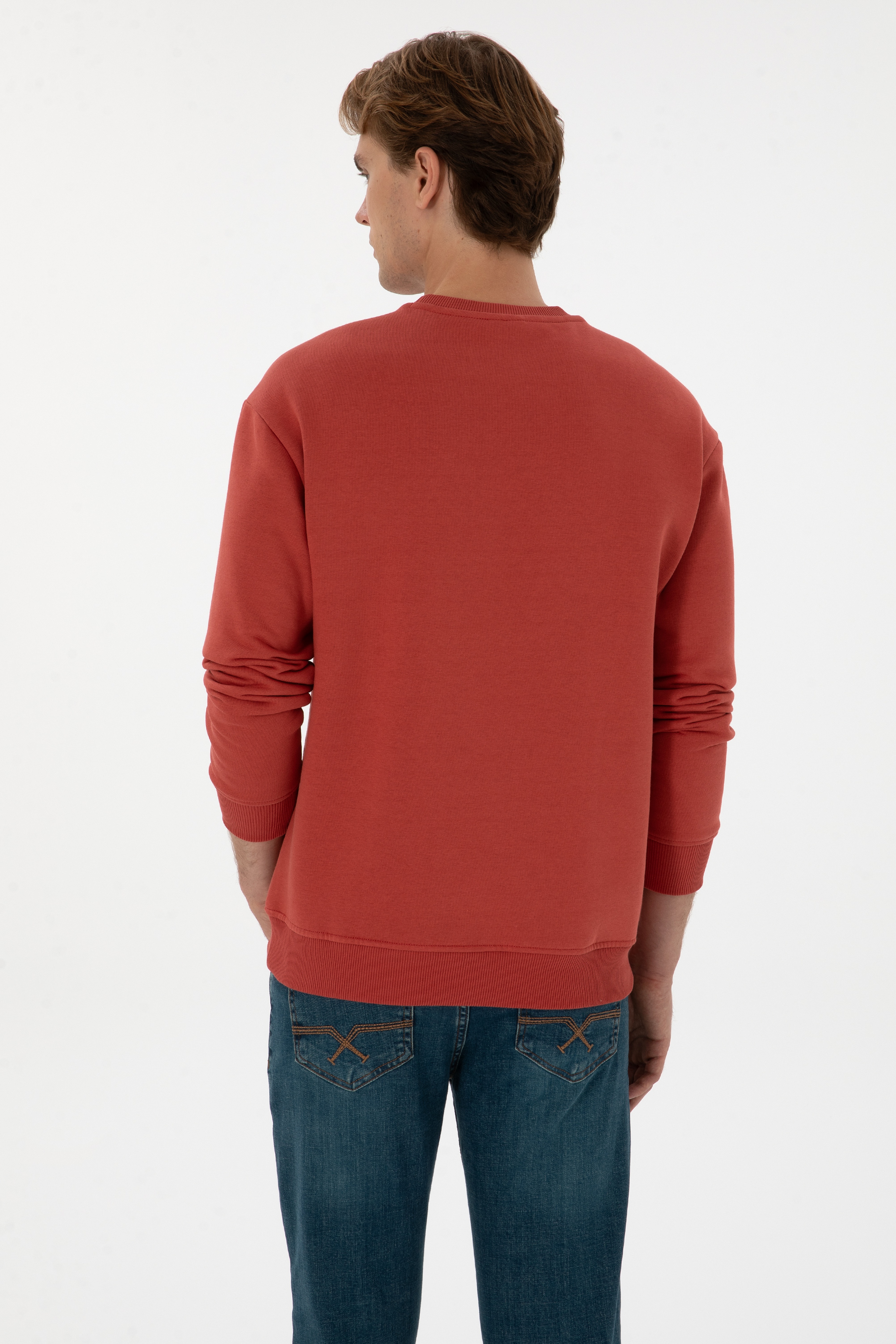 Erkek Comfort Fit Bisiklet Yaka Şardonlu Gül Kurusu Basic Sweatshirt - Image 5