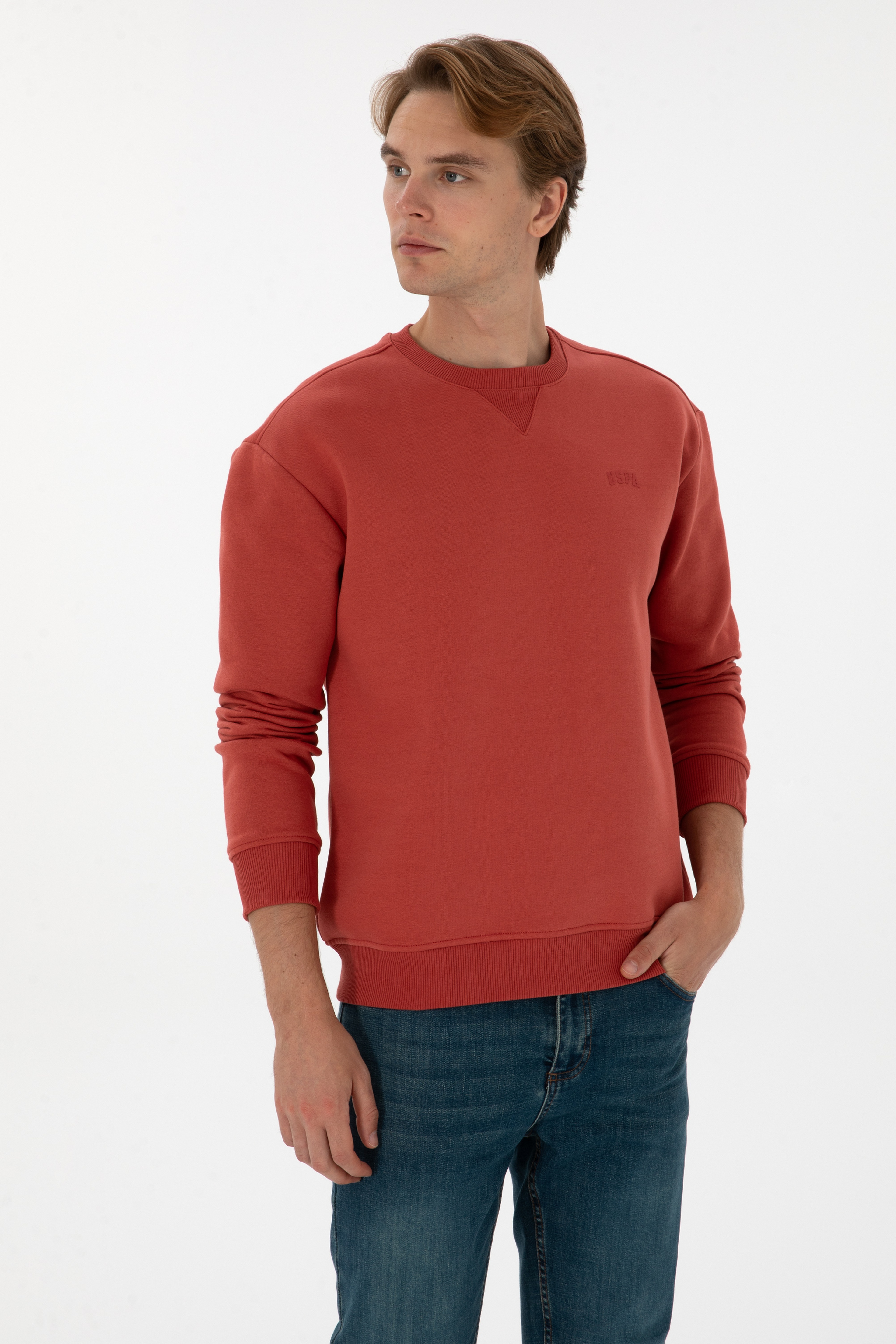 Erkek Comfort Fit Bisiklet Yaka Şardonlu Gül Kurusu Basic Sweatshirt - Image 3