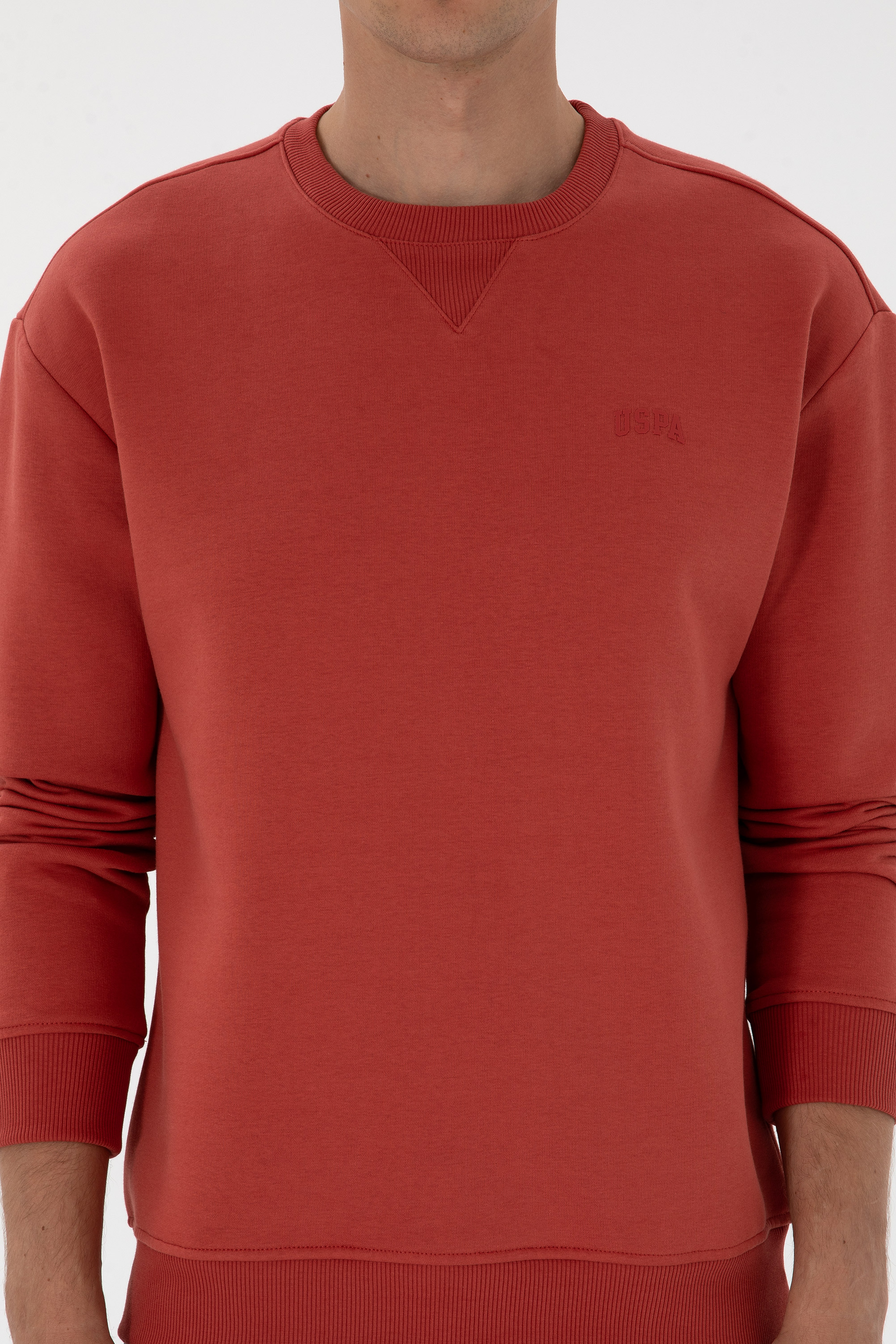 Erkek Comfort Fit Bisiklet Yaka Şardonlu Gül Kurusu Basic Sweatshirt - Image 6