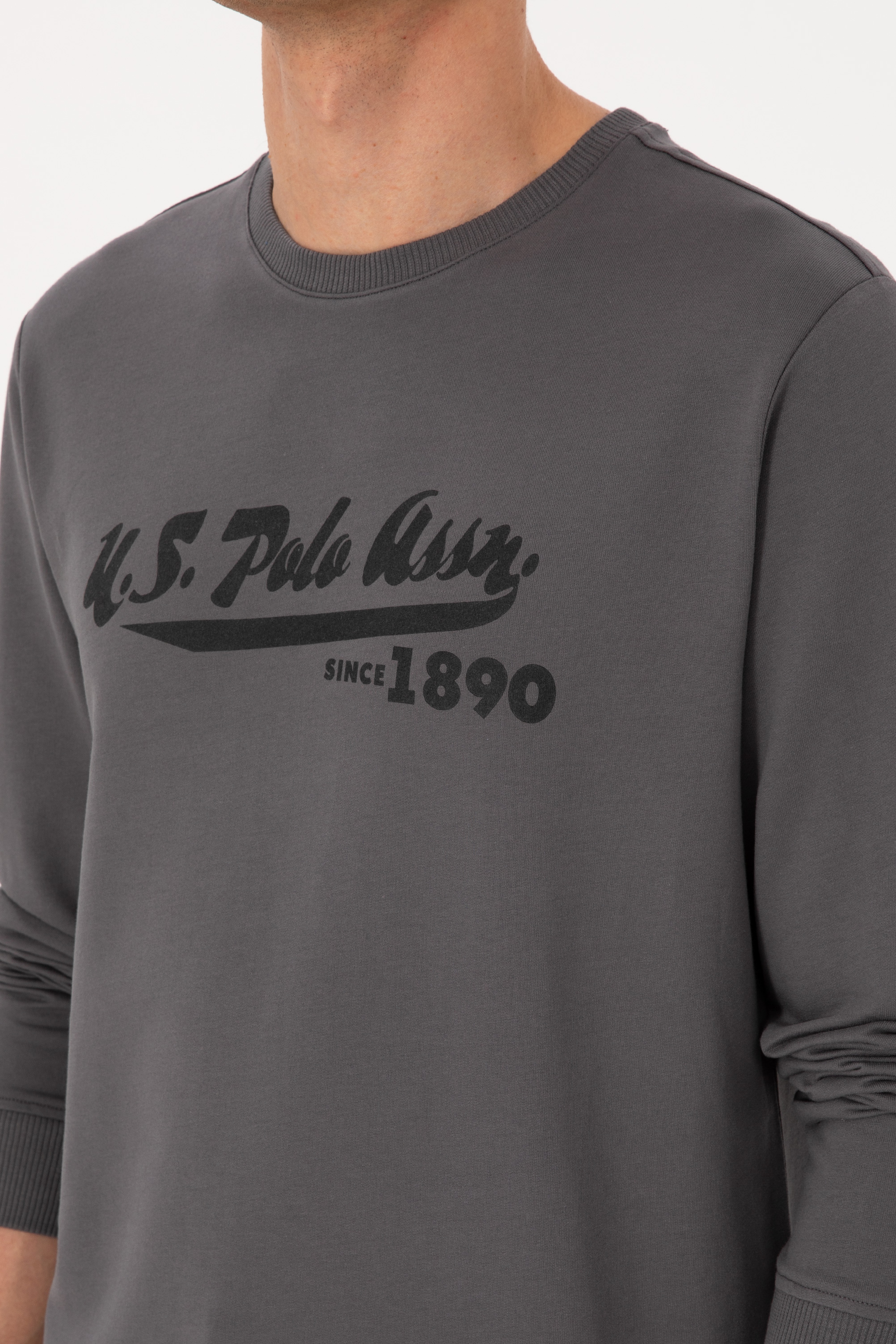 Erkek Bisiklet Yaka Regular Fit Gri İnce Sweatshirt - Image 7