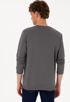 Erkek Bisiklet Yaka Regular Fit Gri İnce Sweatshirt - 50316315019
