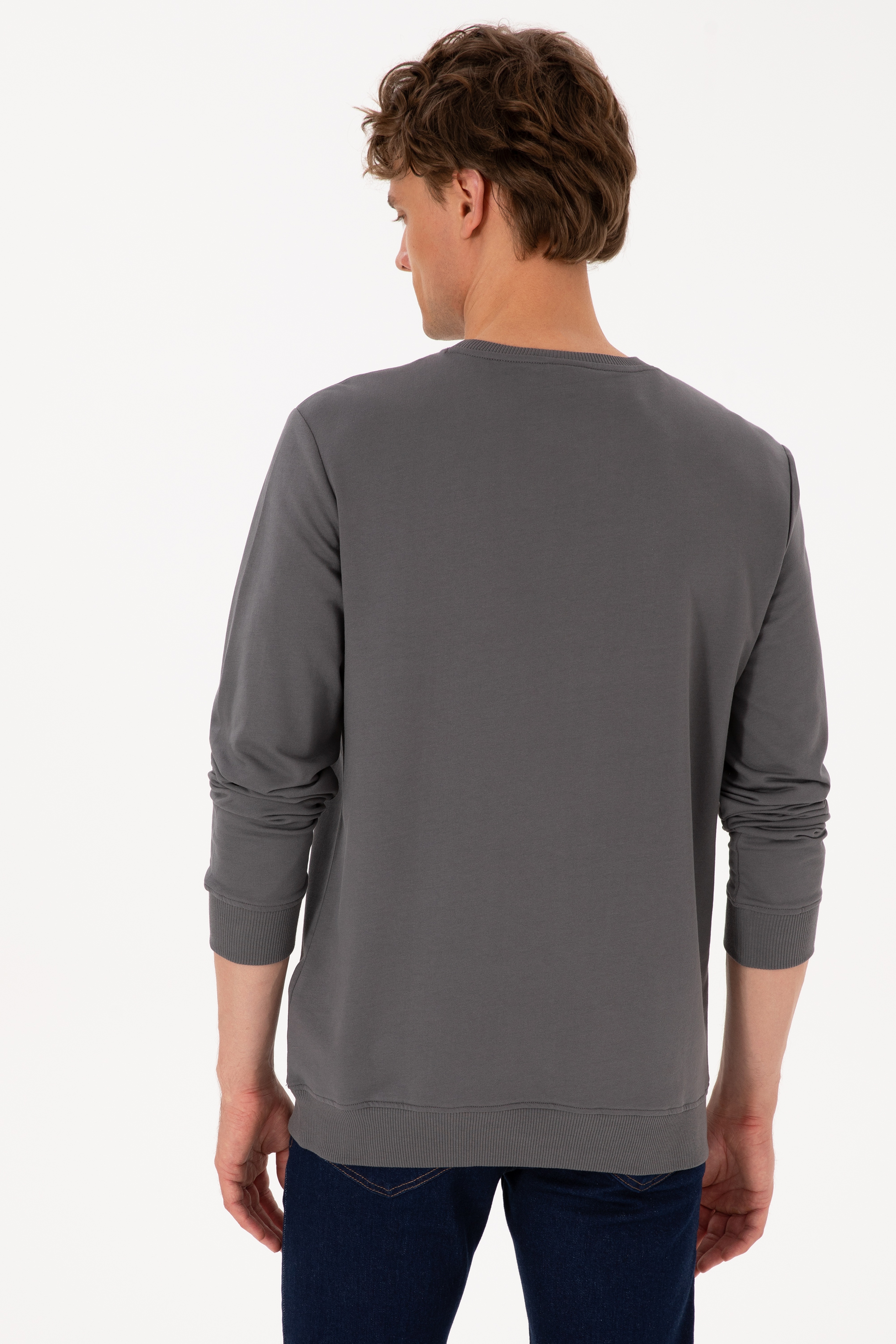 Erkek Bisiklet Yaka Regular Fit Gri İnce Sweatshirt - Image 5