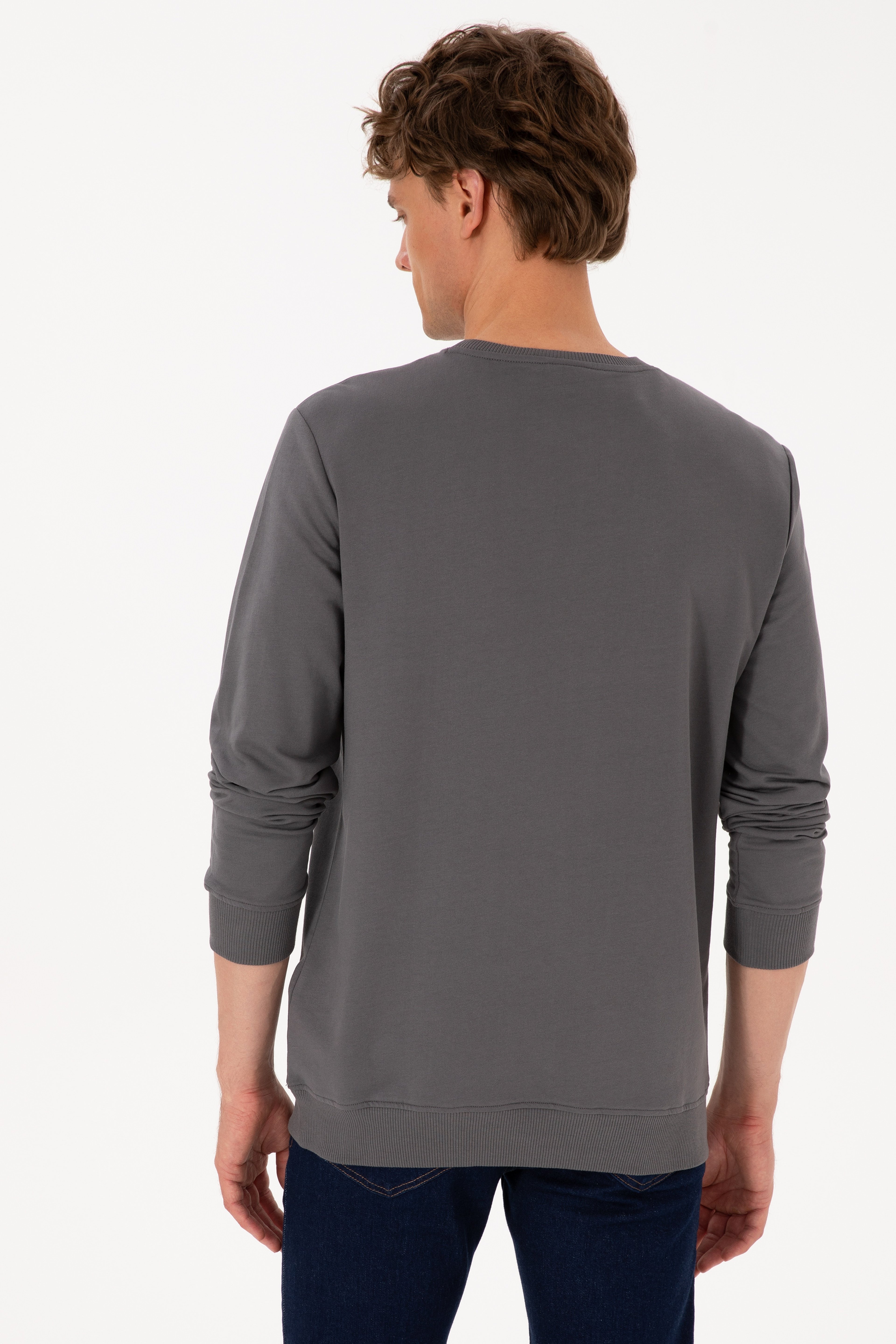 Erkek Bisiklet Yaka Regular Fit Gri İnce Sweatshirt