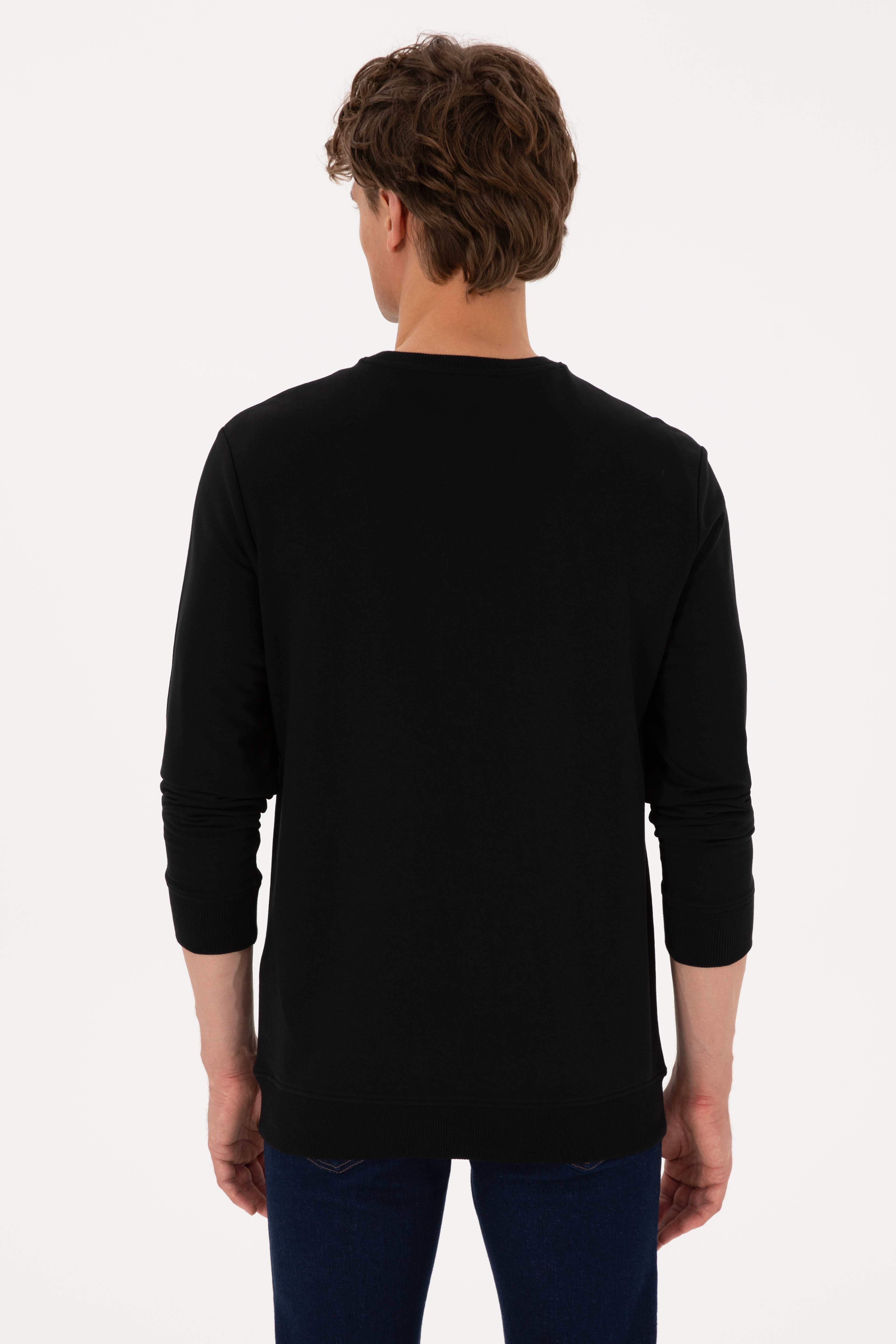 Erkek Bisiklet Yaka Regular Fit Siyah İnce Sweatshirt - Image 5