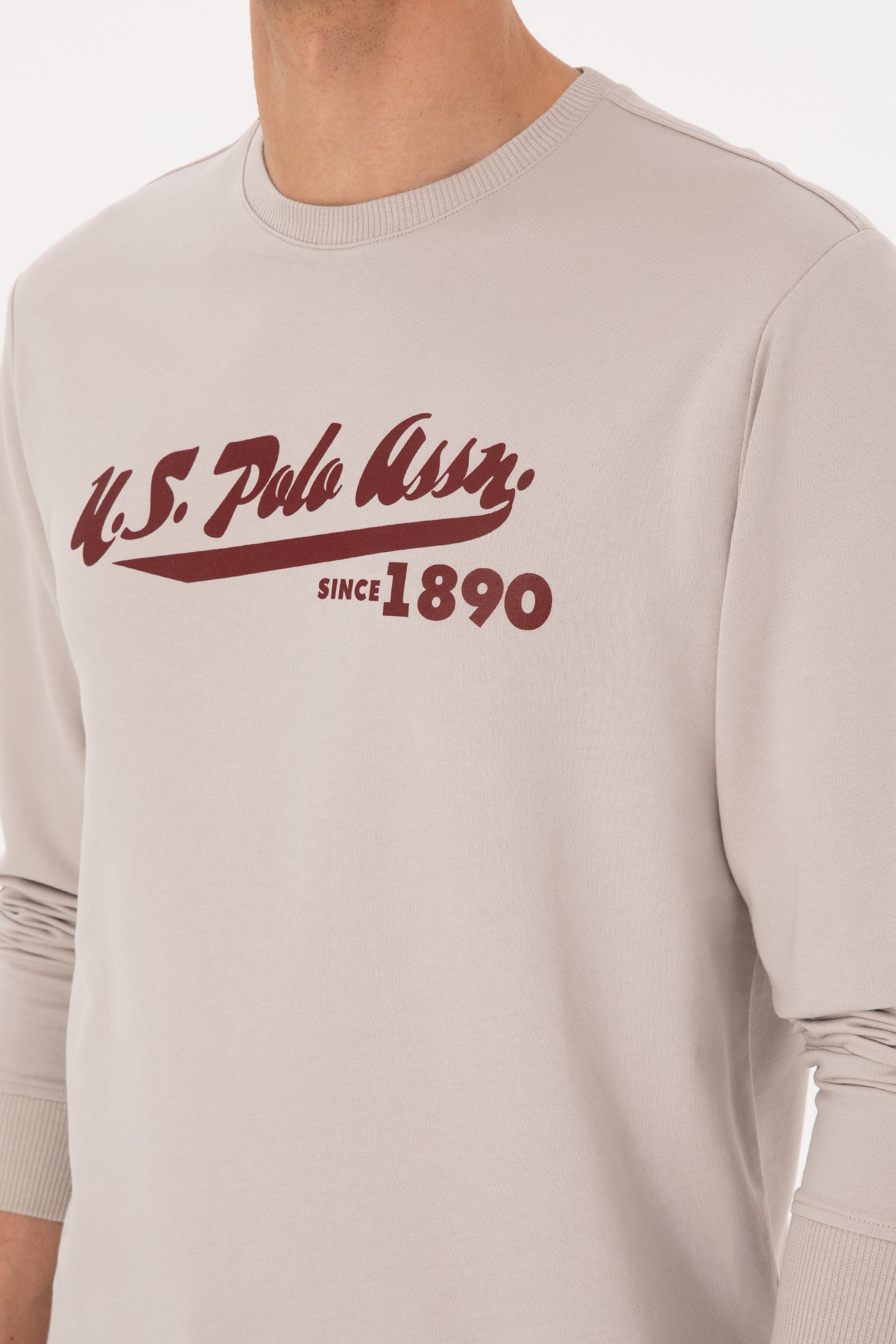 Erkek Bisiklet Yaka Regular Fit Taş İnce Sweatshirt