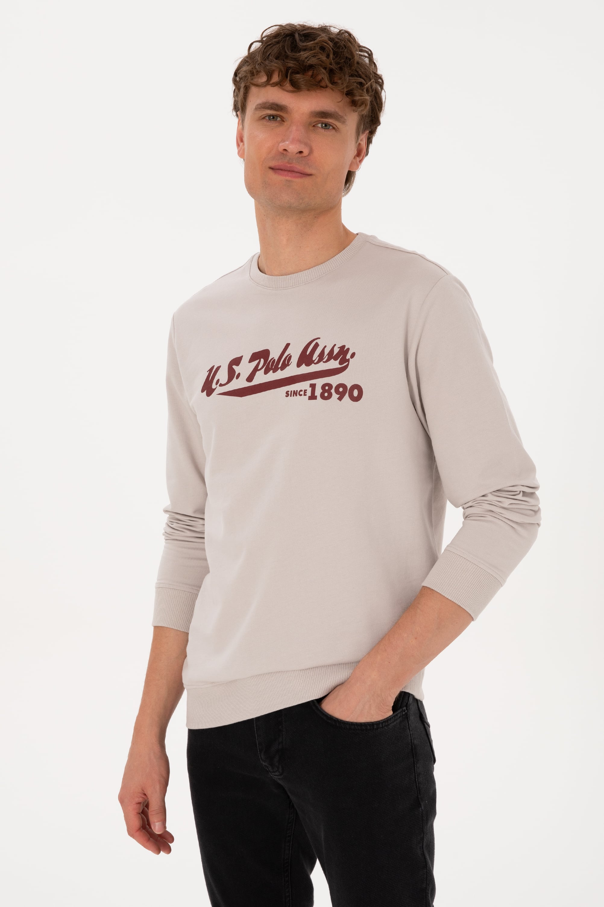 Erkek Bisiklet Yaka Regular Fit Taş İnce Sweatshirt - Image 3