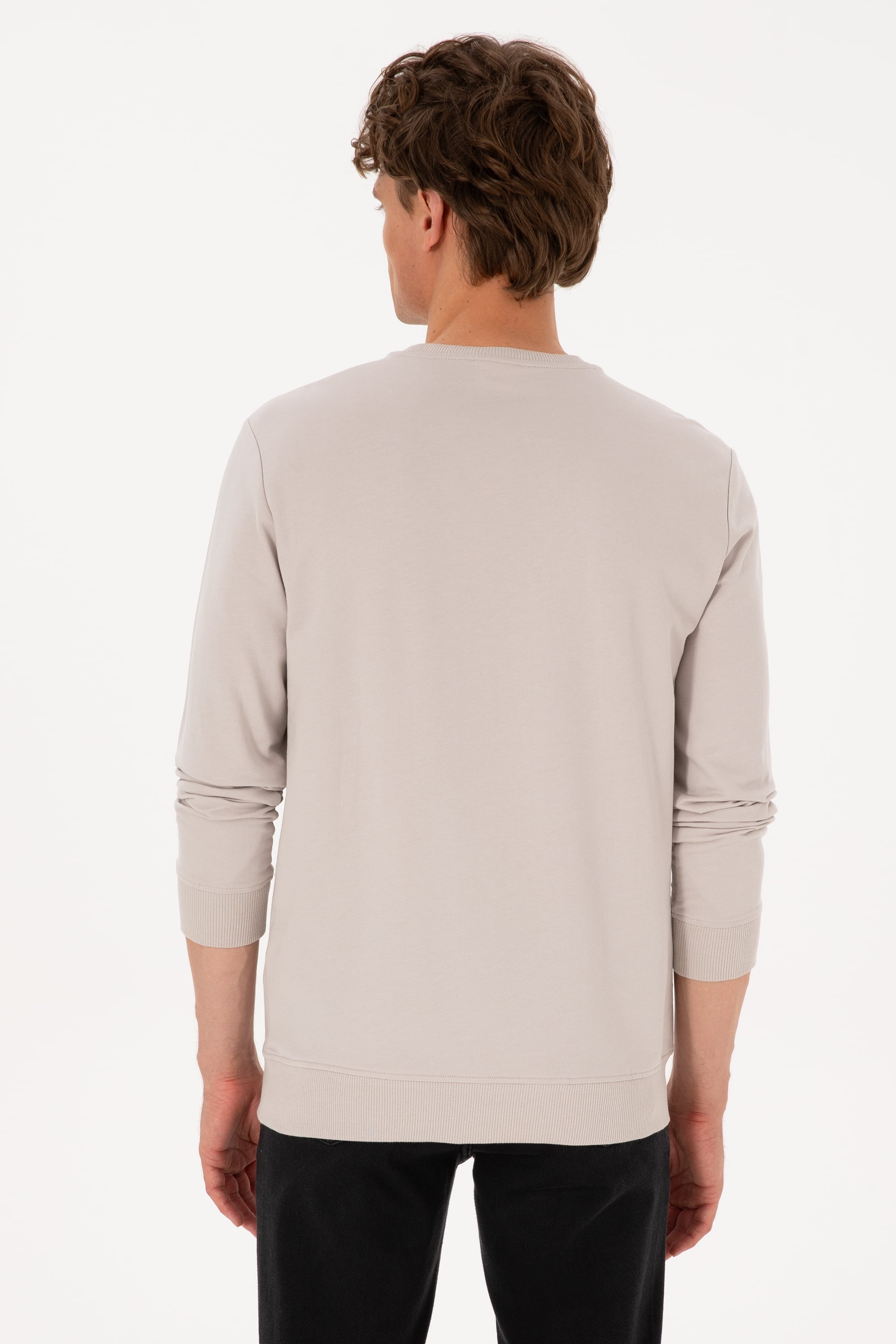 Erkek Bisiklet Yaka Regular Fit Taş İnce Sweatshirt - Image 5
