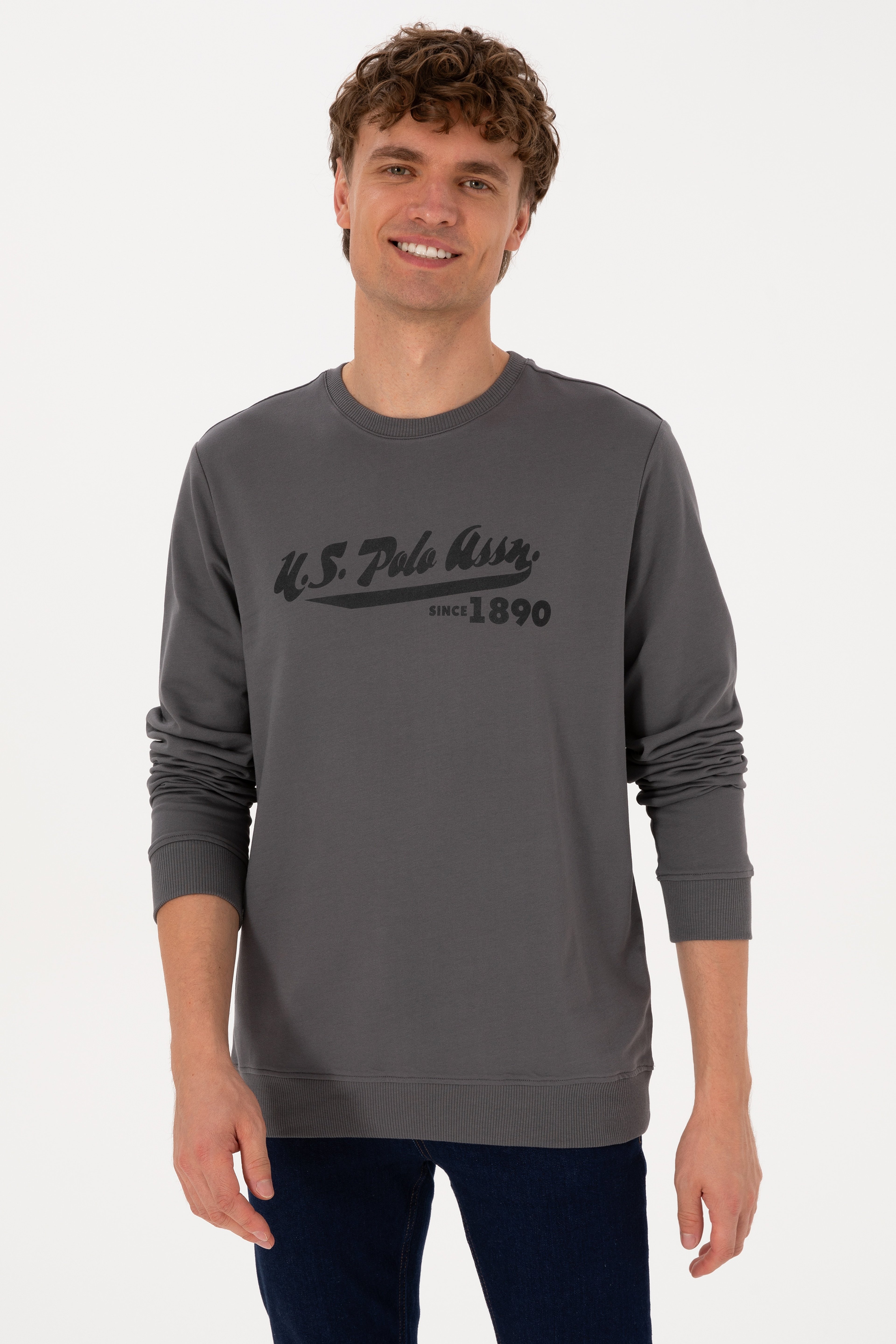Erkek Bisiklet Yaka Regular Fit Gri İnce Sweatshirt - Image 3
