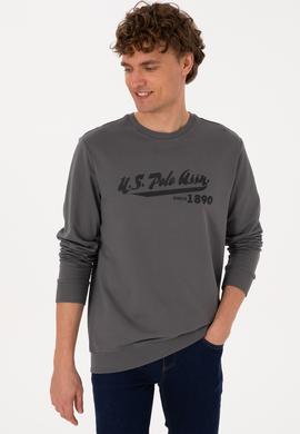 Erkek Bisiklet Yaka Regular Fit Gri İnce Sweatshirt - 50316315019